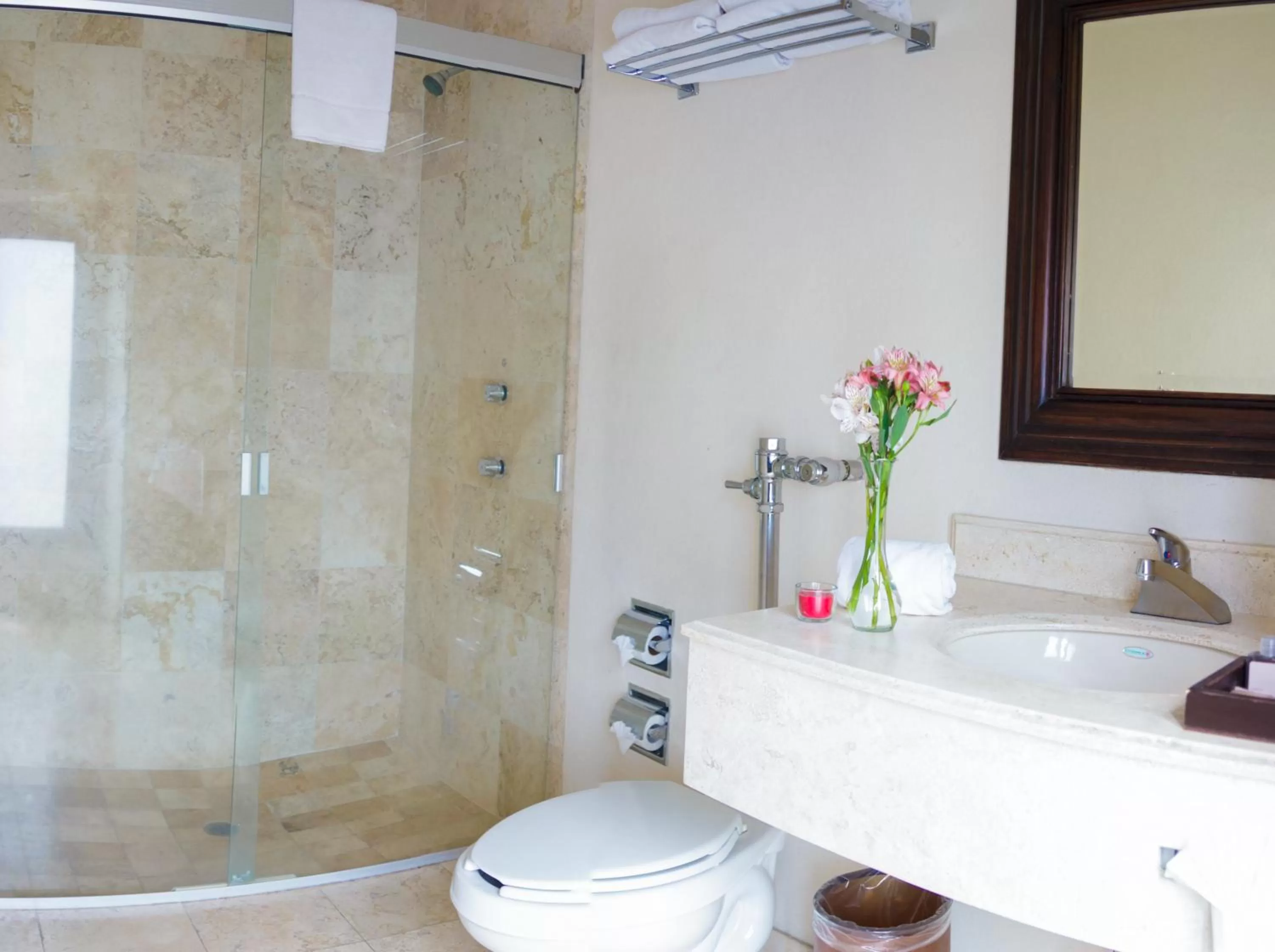 Mision Catedral Morelia