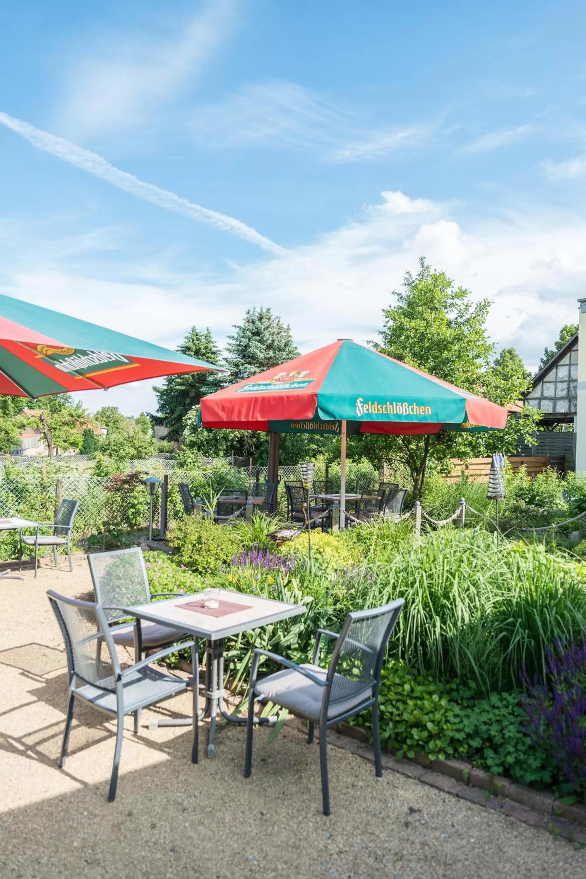 Restaurant/places to eat in Bei Meier`s zum weißen Roß