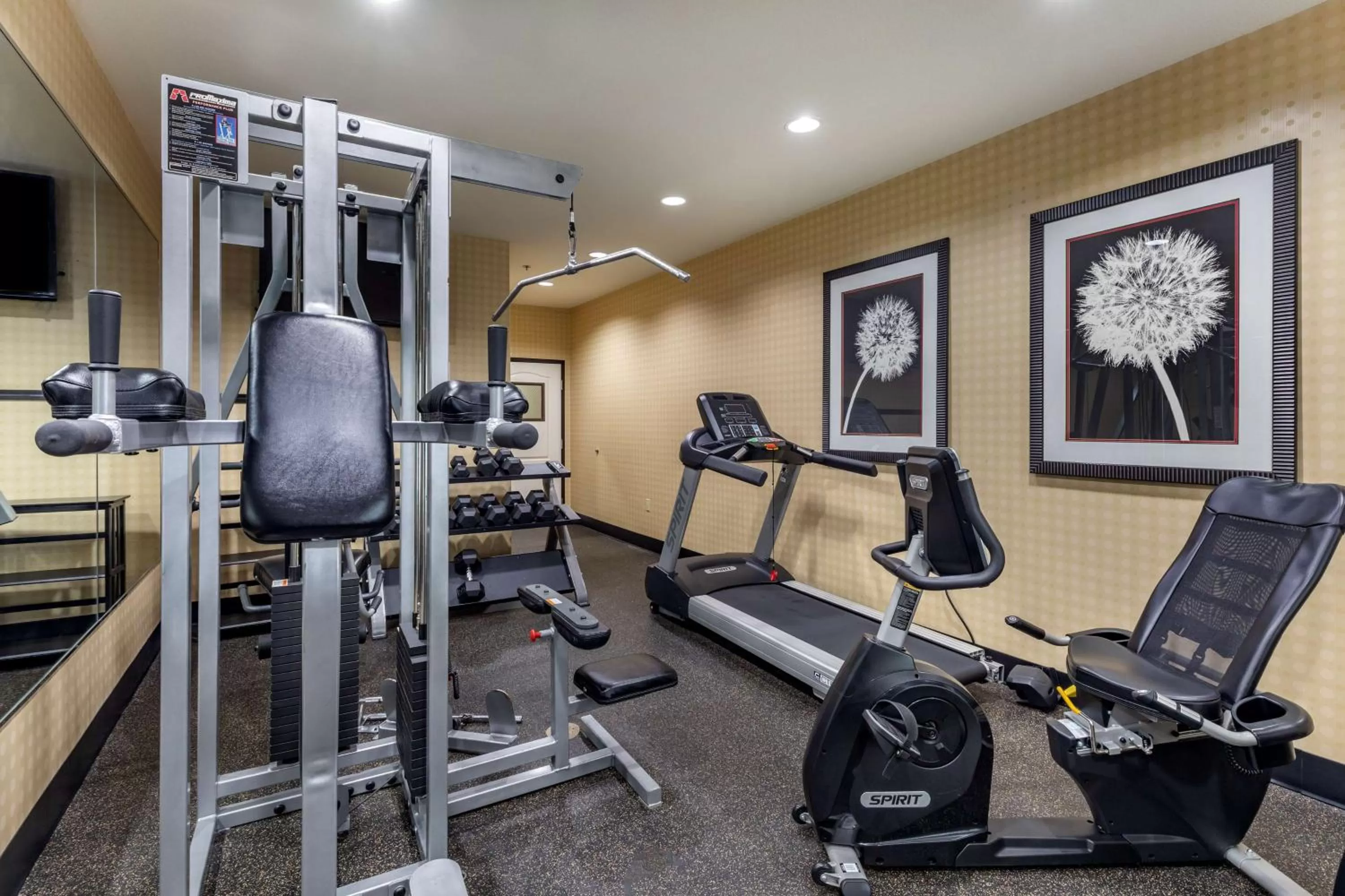Spa and wellness centre/facilities in Best Western Plus DFW Airport West Euless