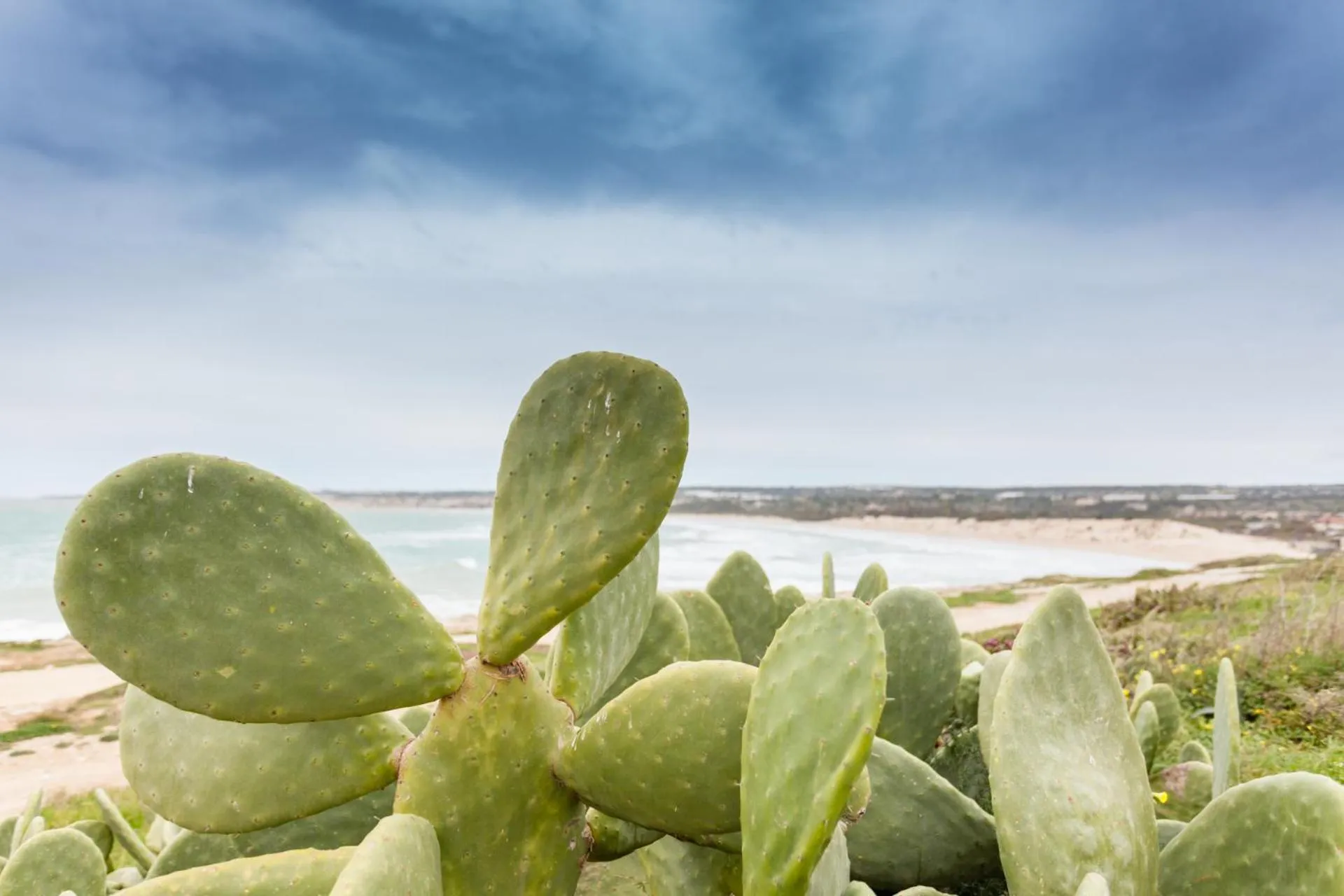 Beach in Modica Beach Resort
