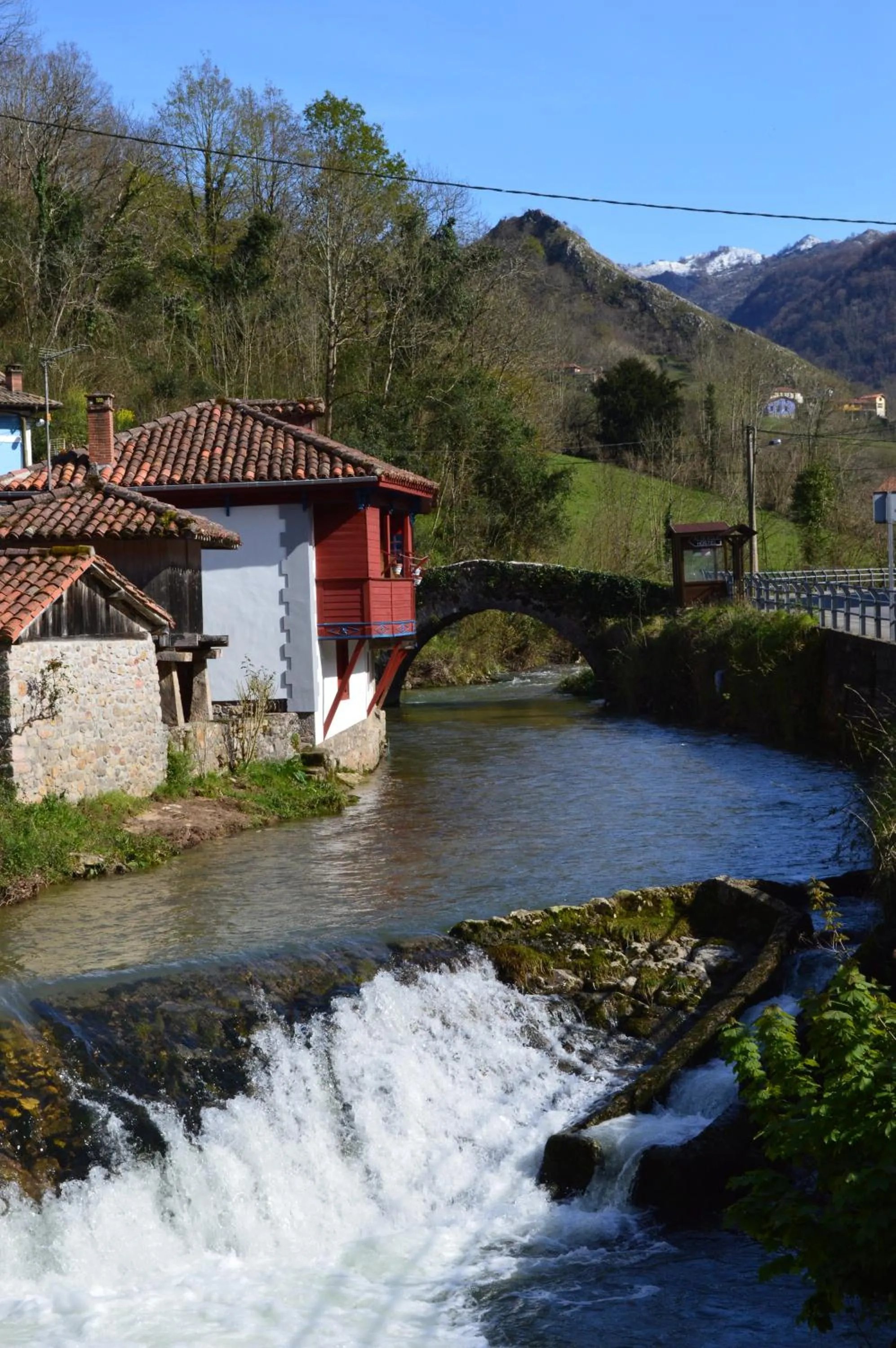 Fishing in Arcea Gran Hotel Pelayo
