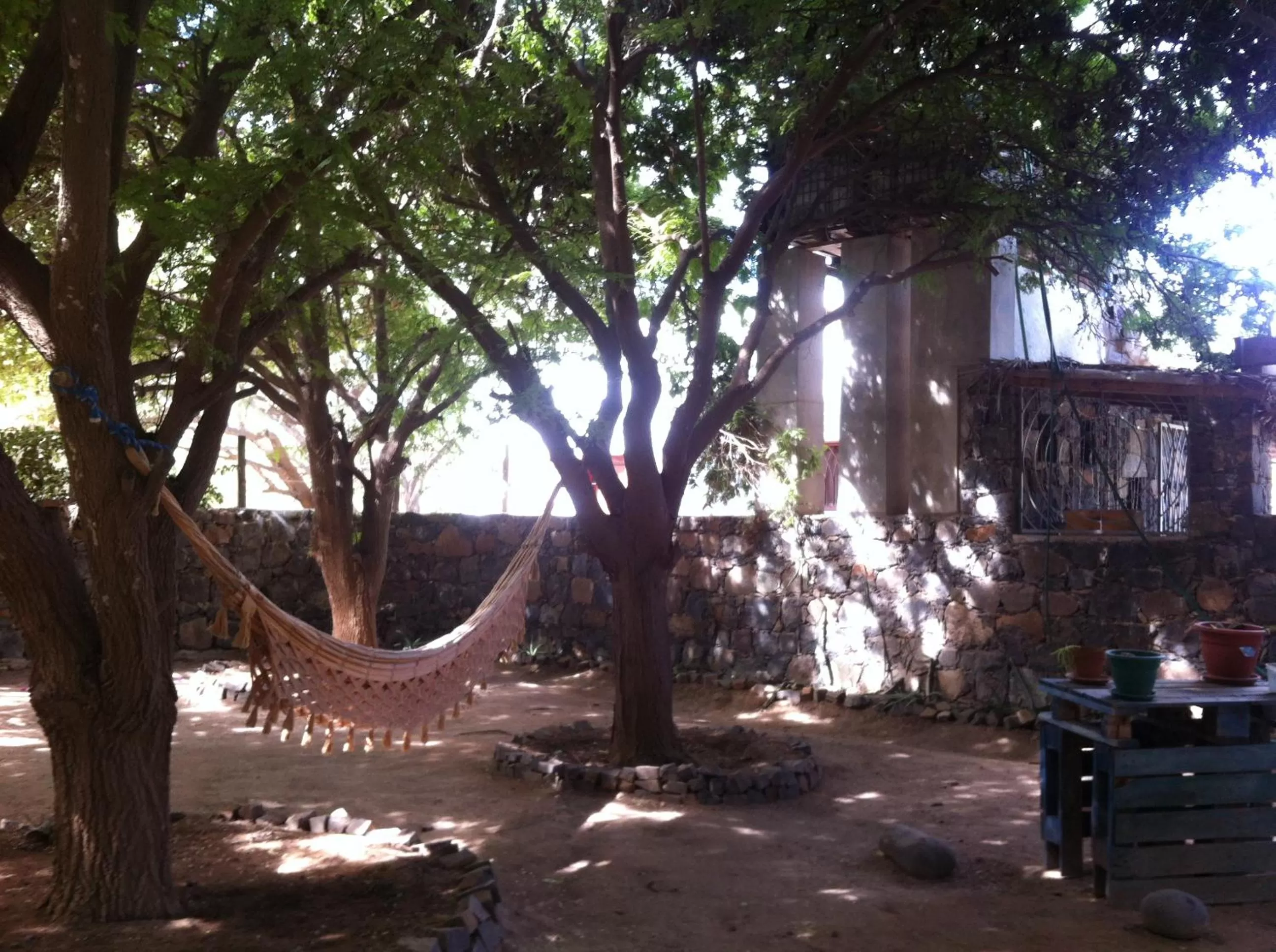 Garden in Villa Morabeza Guest House