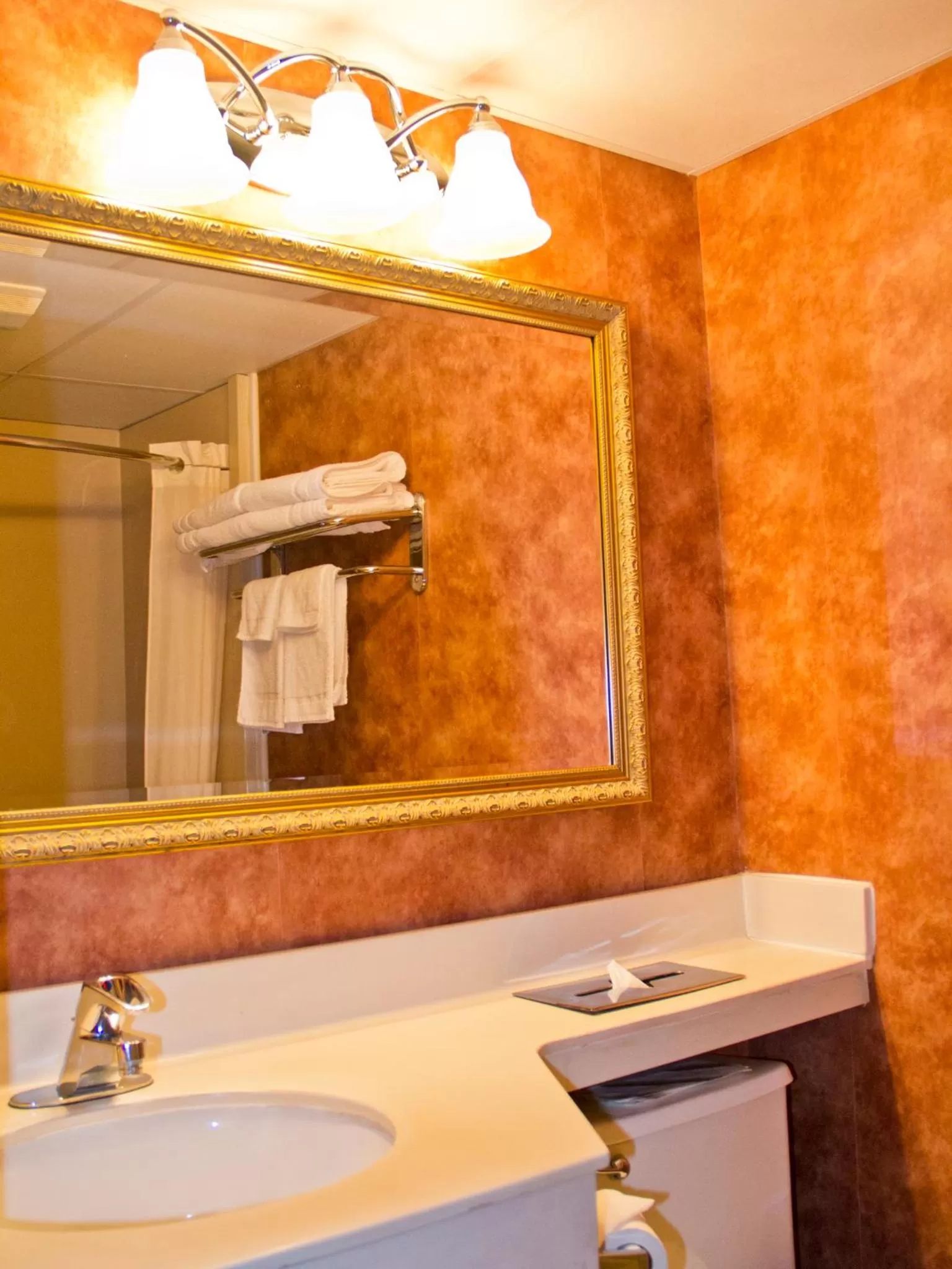 Bathroom in Quality Inn East Stroudsburg - Poconos