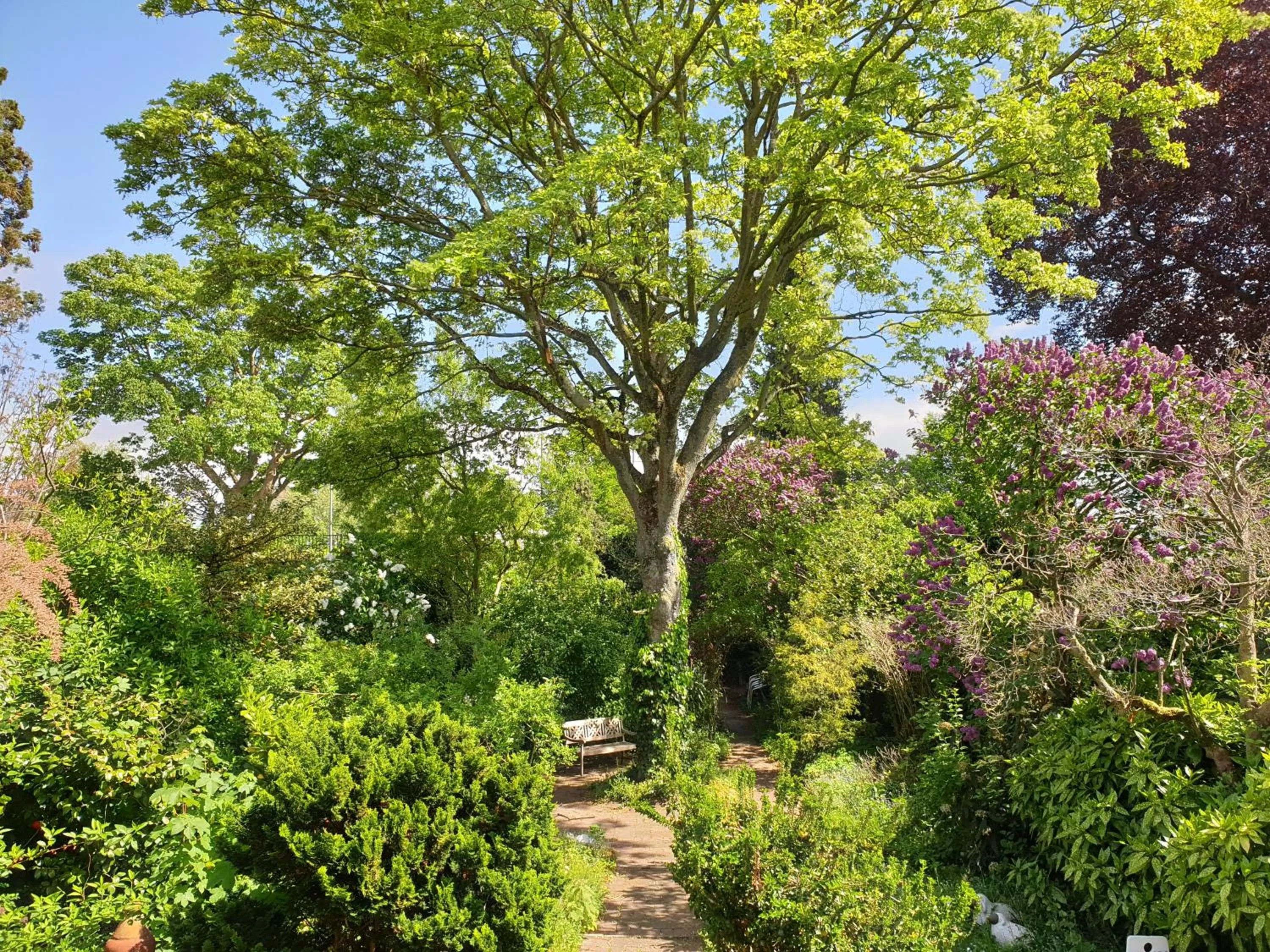 Garden in B&B Willem II
