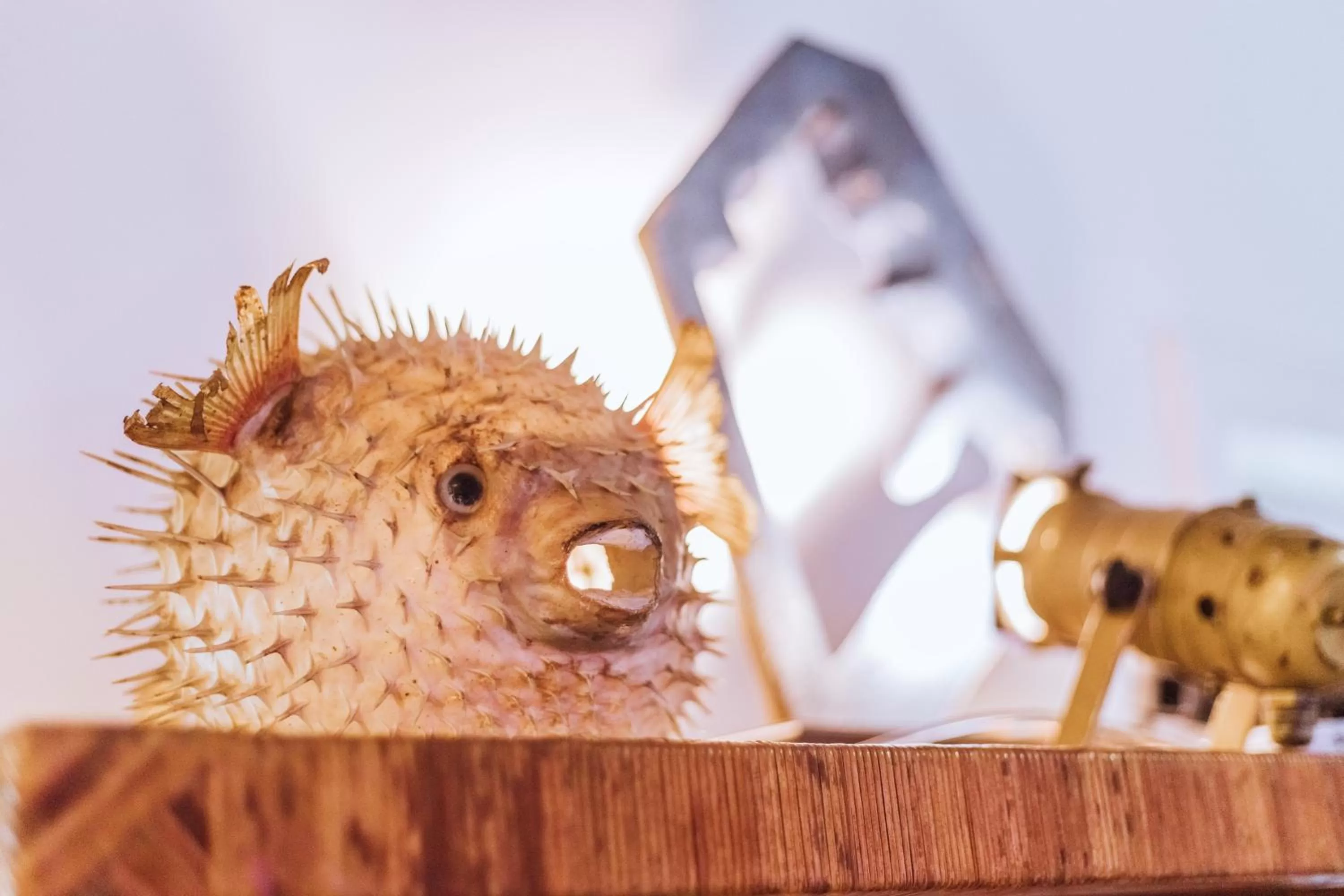 Decorative detail in Maruja