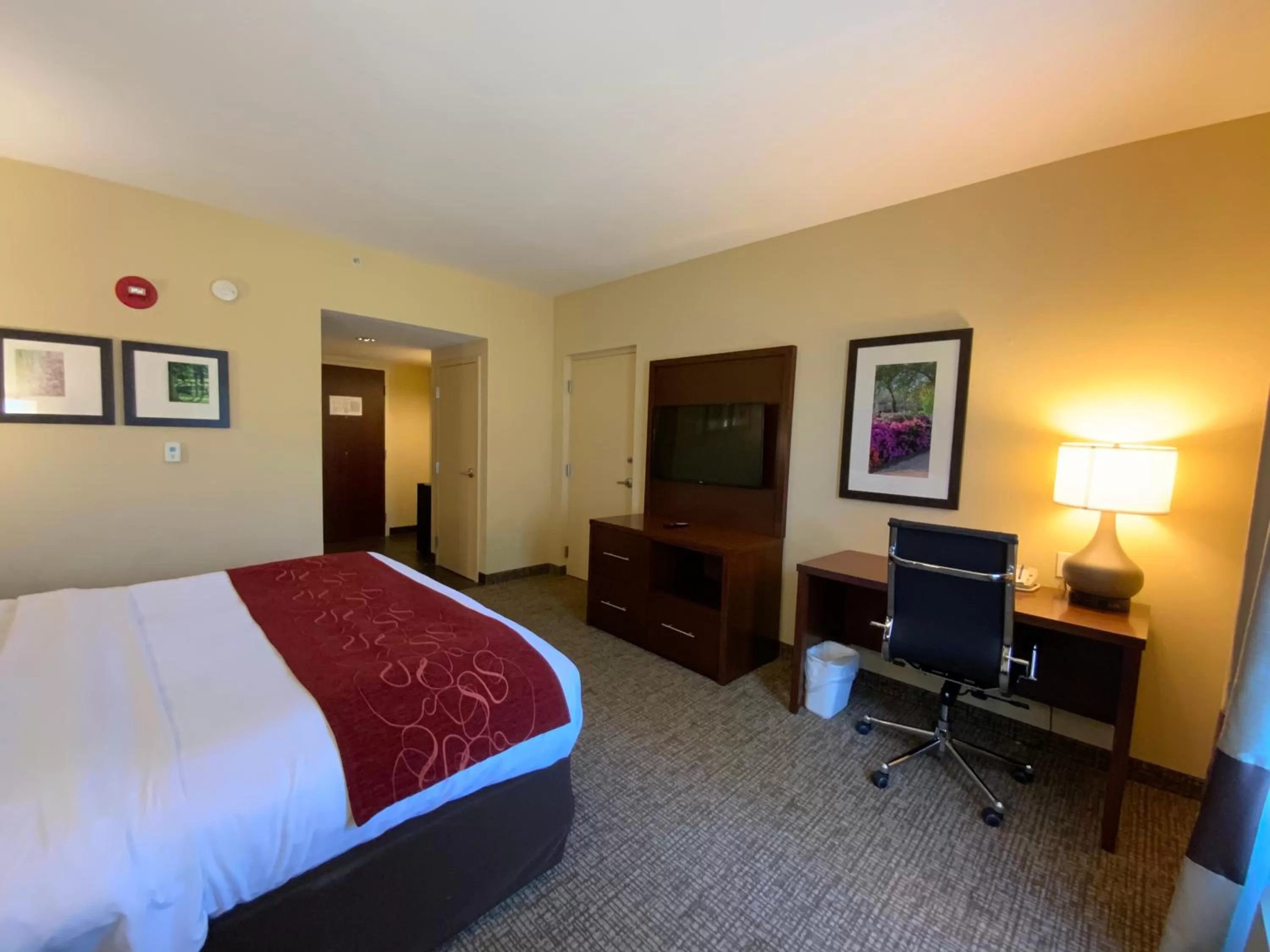 Photo of the whole room, Bed in Comfort Suites Fredericksburg North