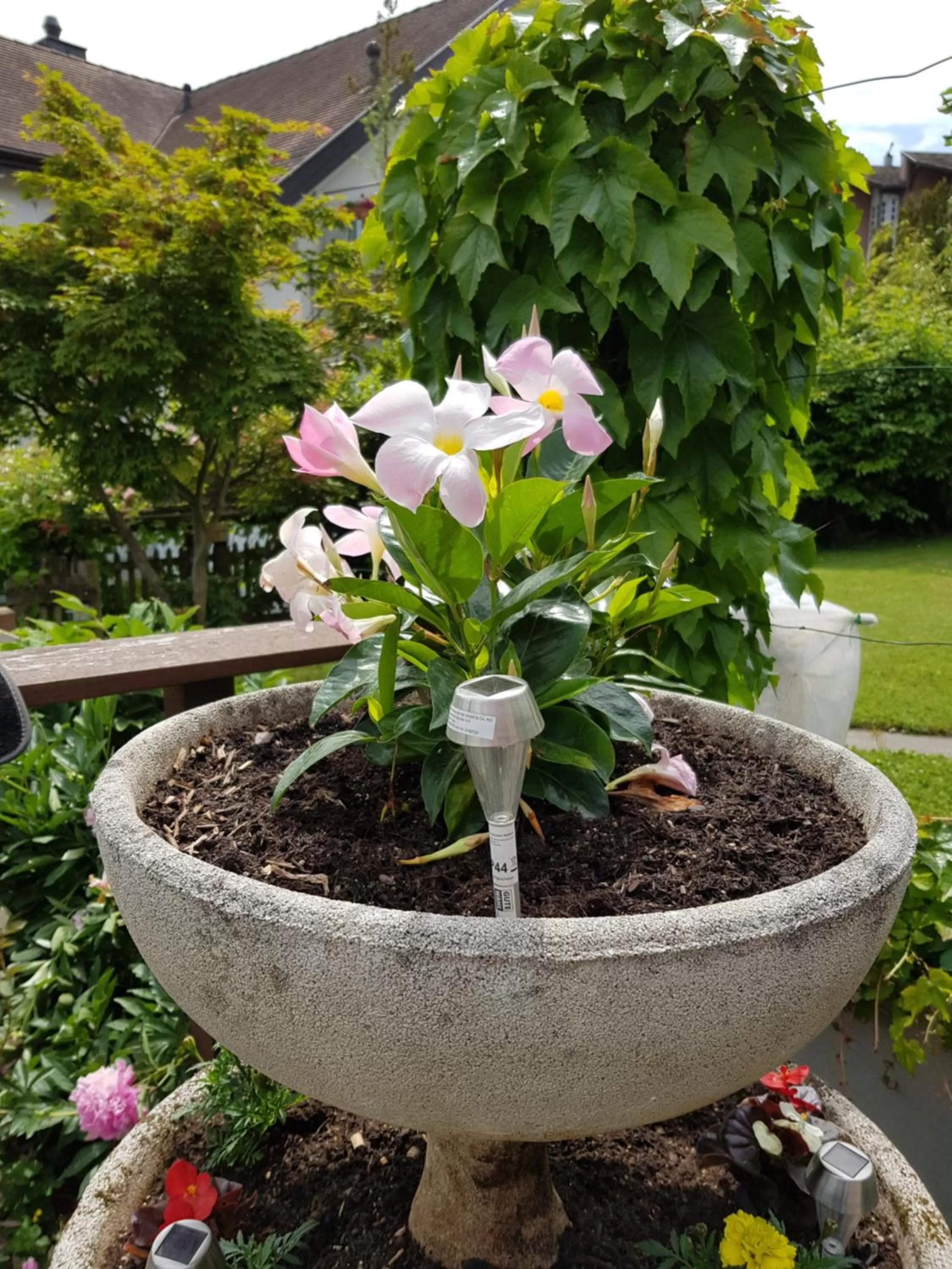 Garni-Hotel Mühletal