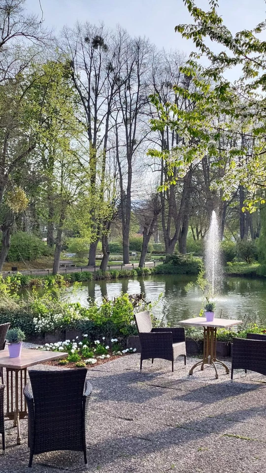 Balcony/Terrace in Parkhotel Am Schwanenteich