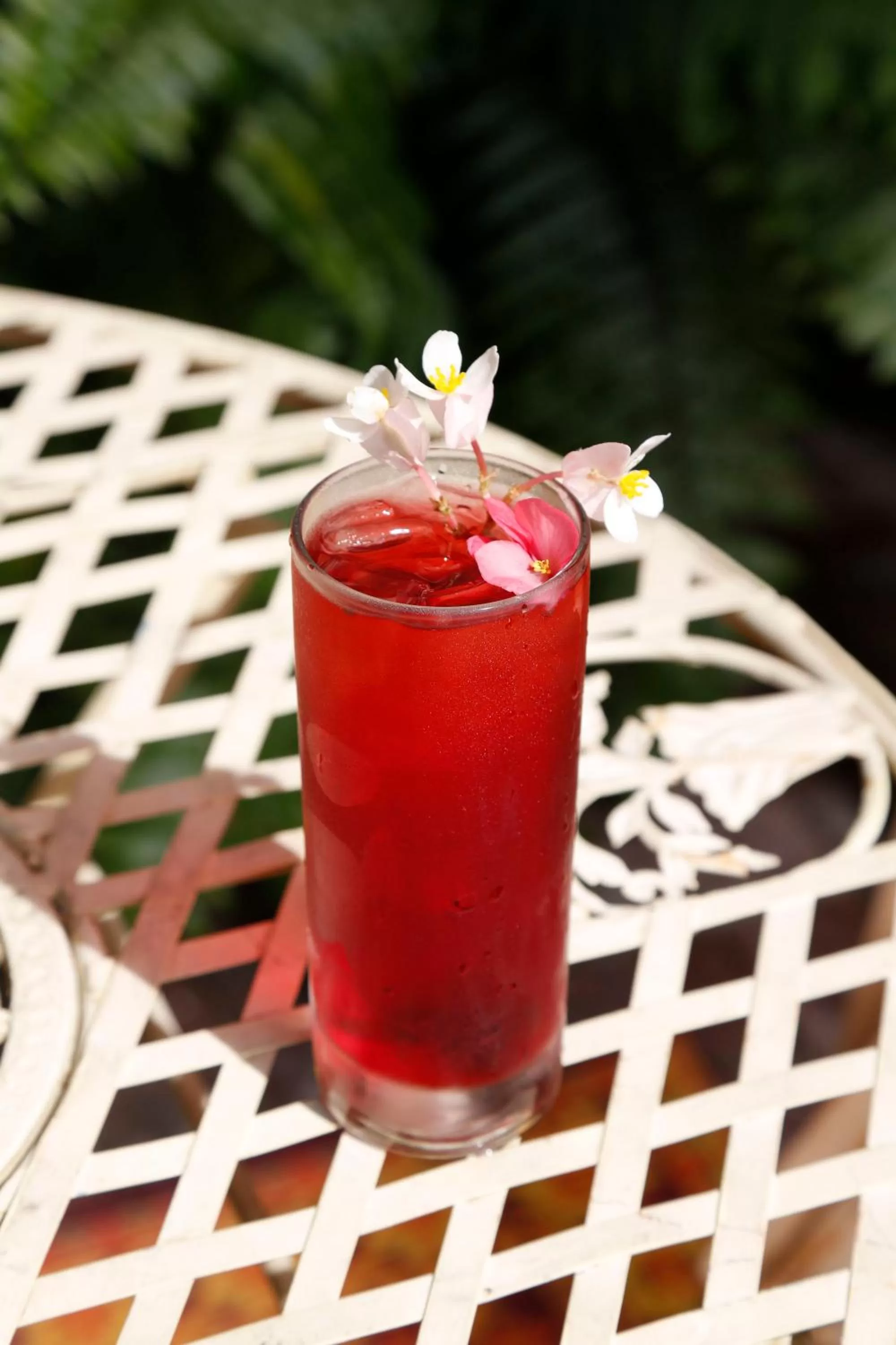 Restaurant/places to eat, Drinks in Life House, Little Havana