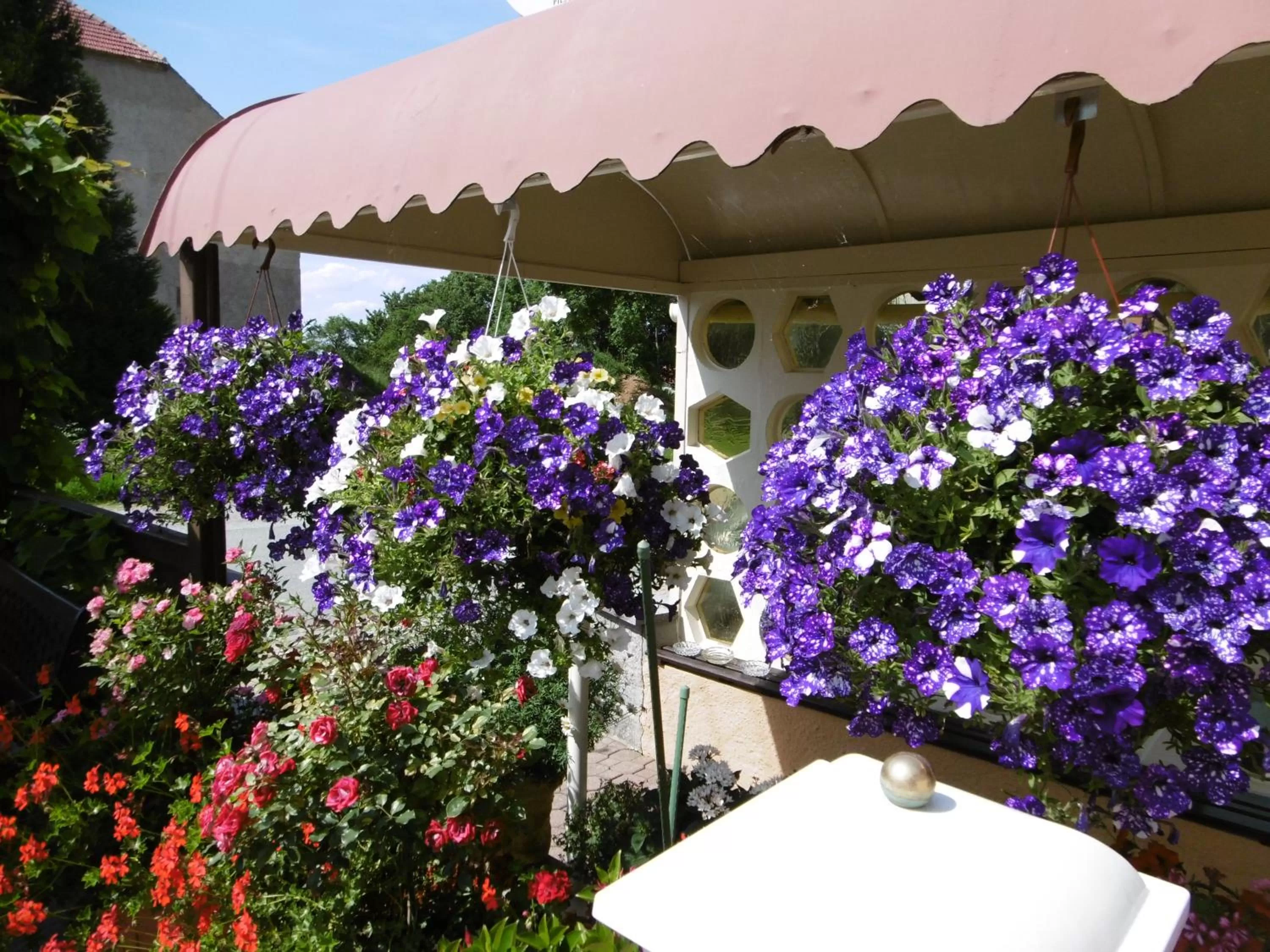 Hotel & Pension Aßmann