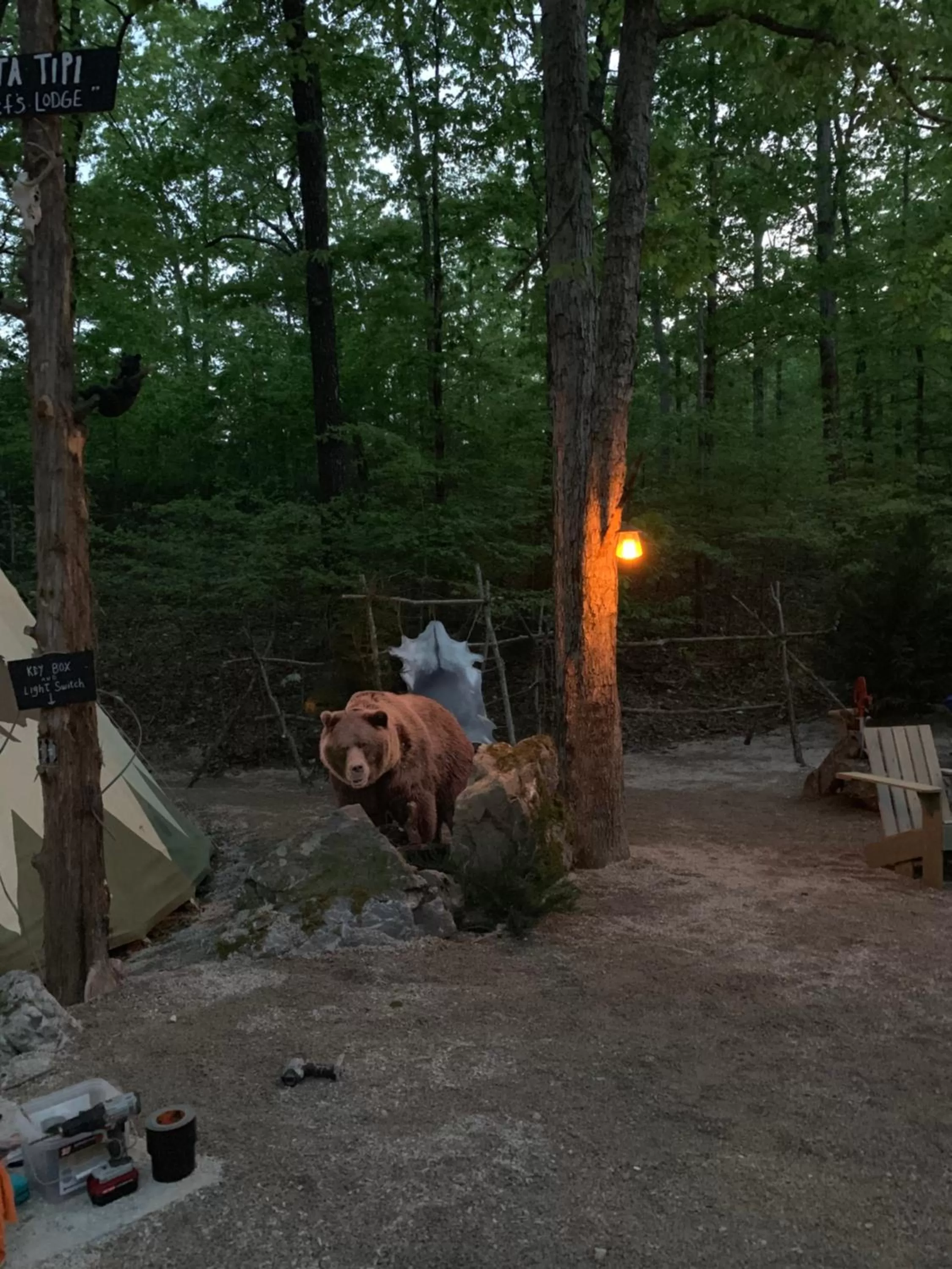 Night in Fox Pass Cabins