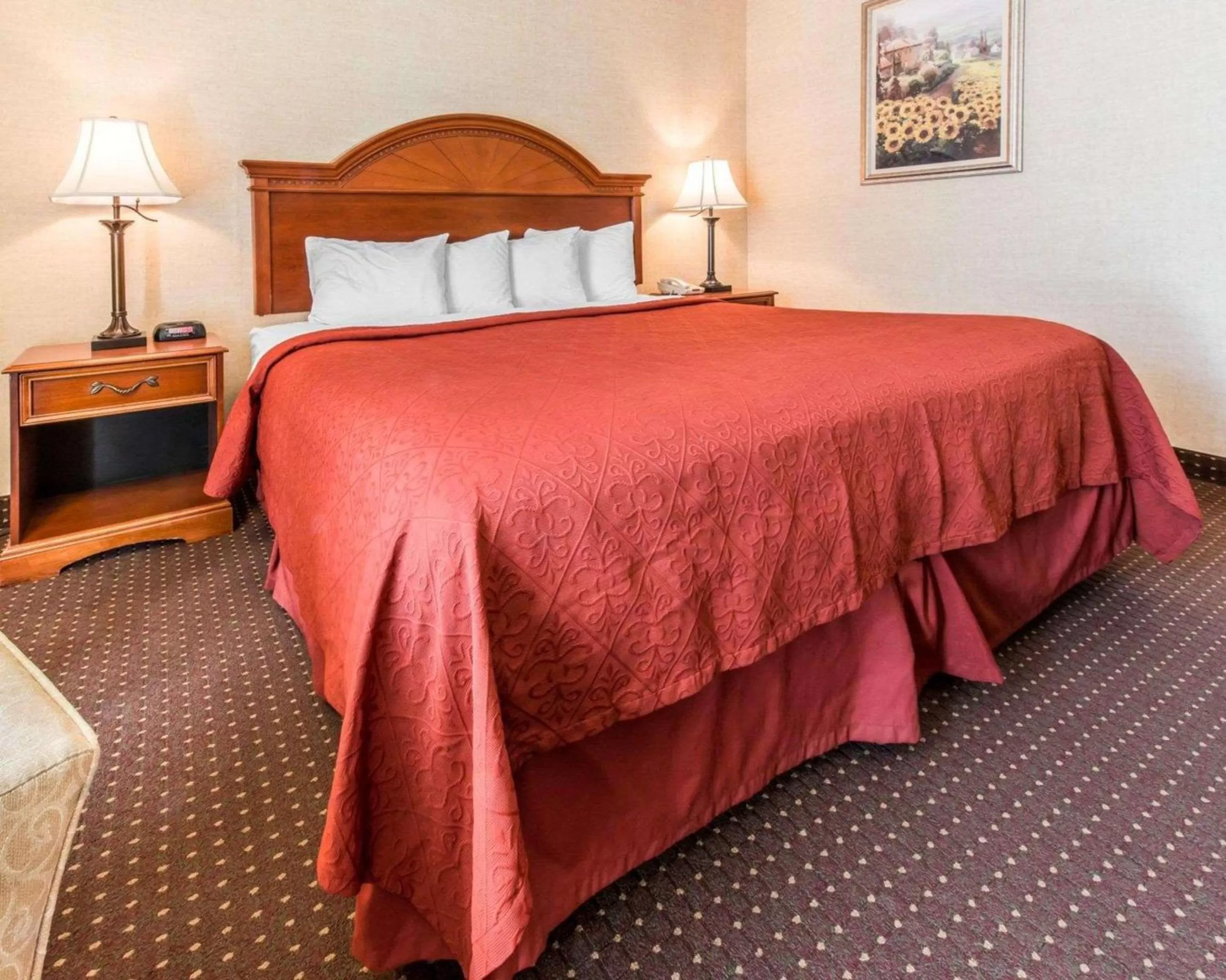 Photo of the whole room, Bed in Quality Inn & Suites Erie near Casino