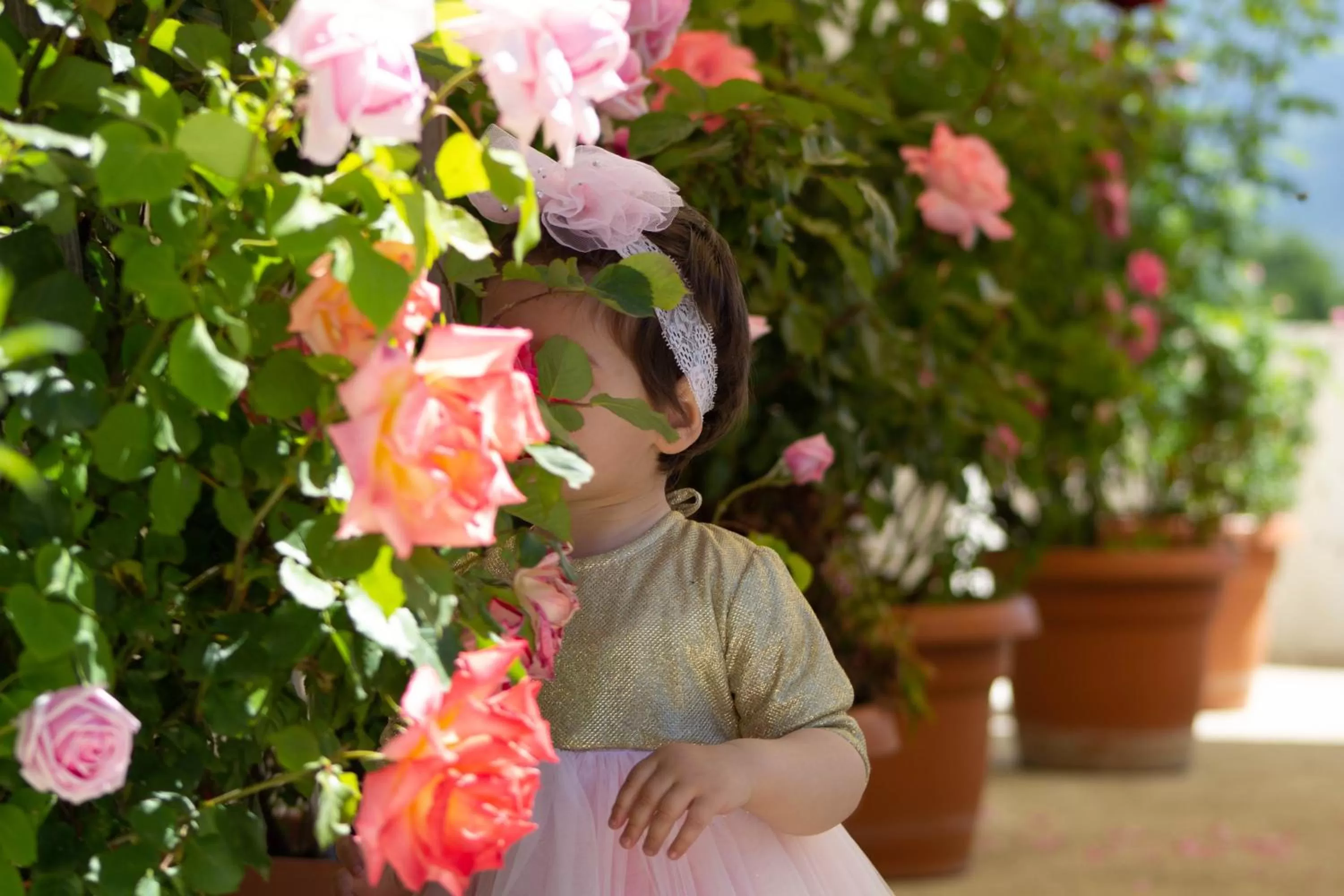 Hotel Bebej Tradicional