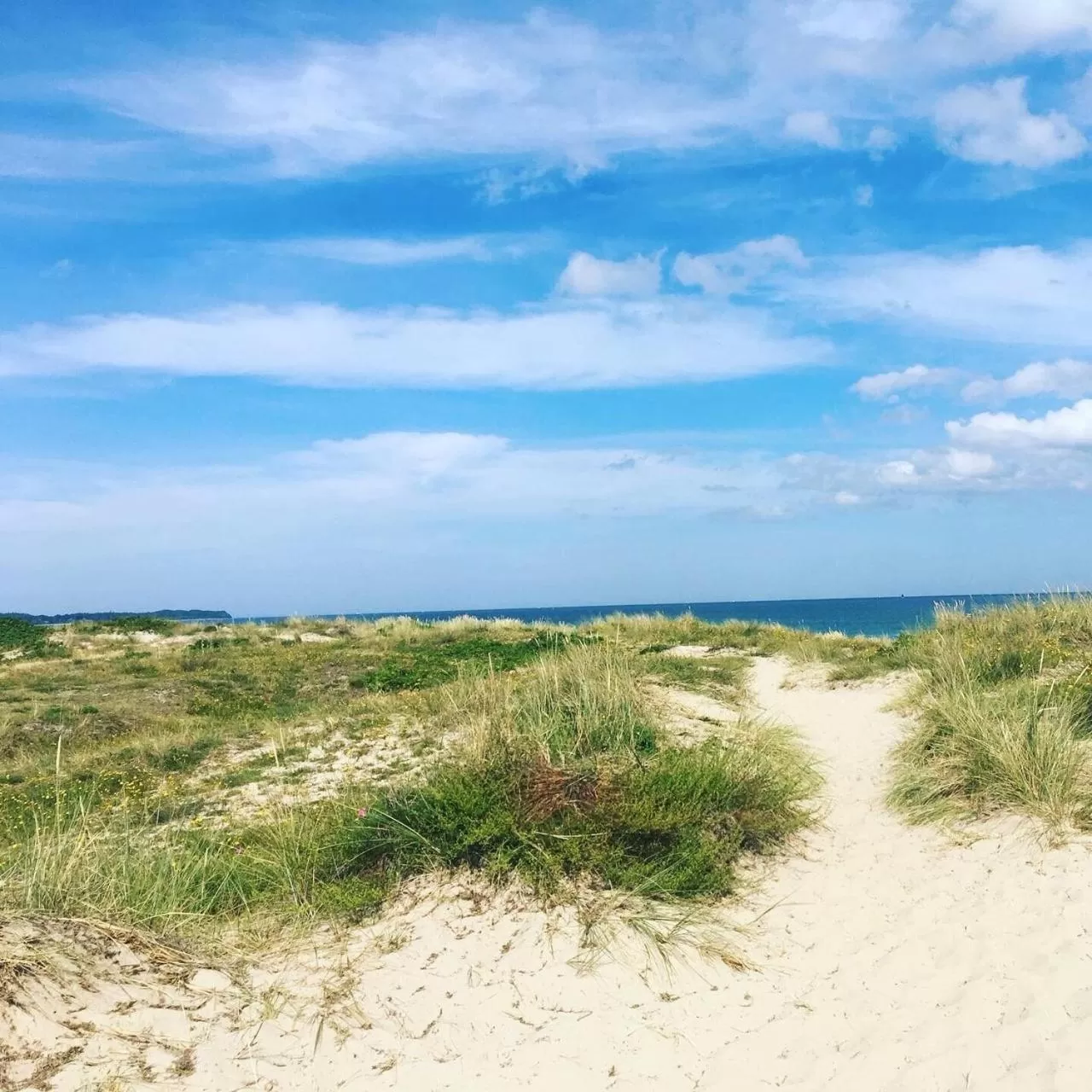 Natural landscape in Trouville Bed & Breakfast