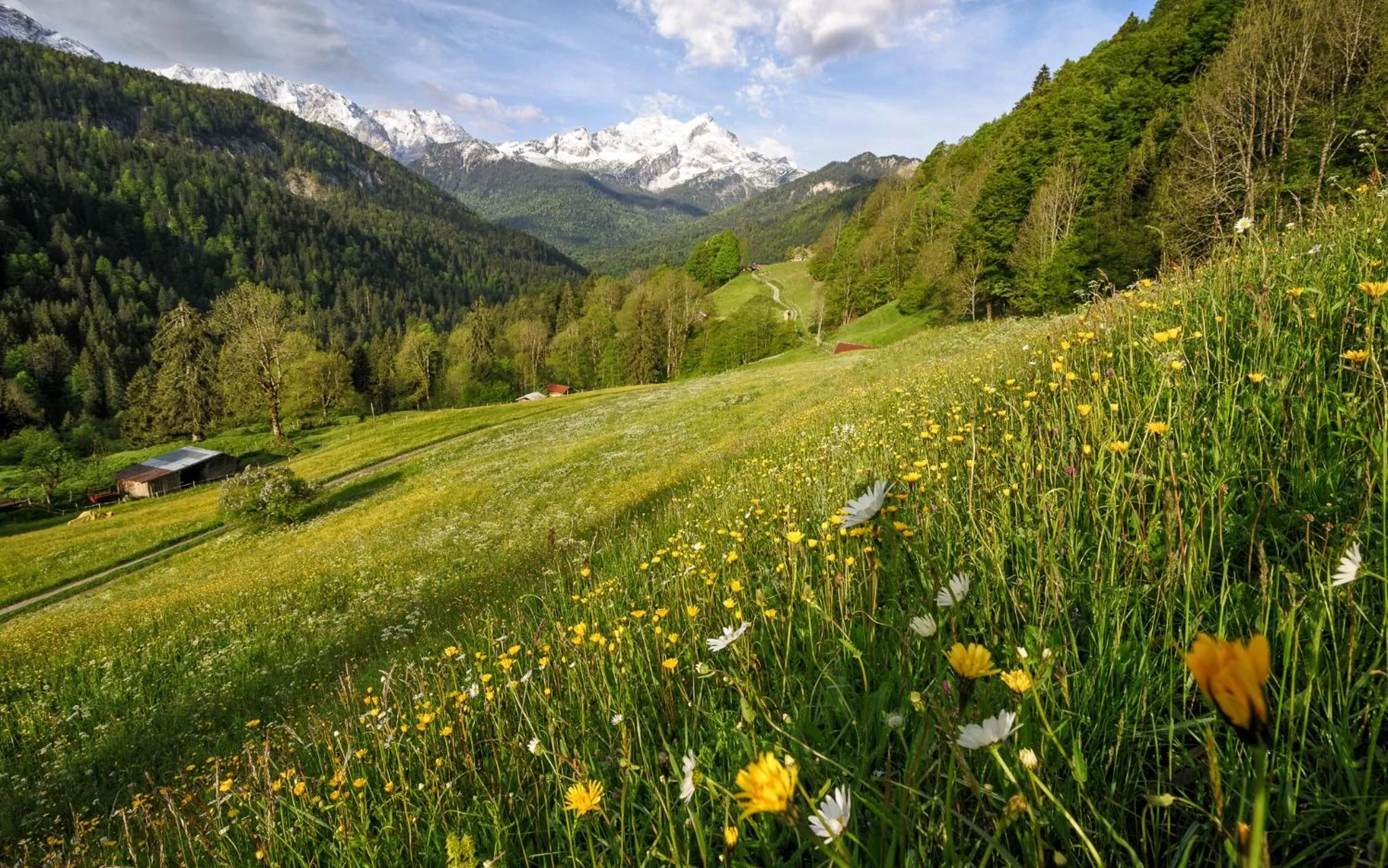 Hiking in Das Graseck - mountain hideaway & health care