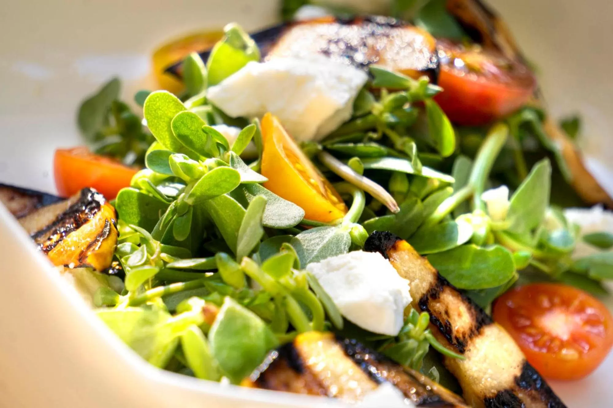 Restaurant/places to eat in Alavya