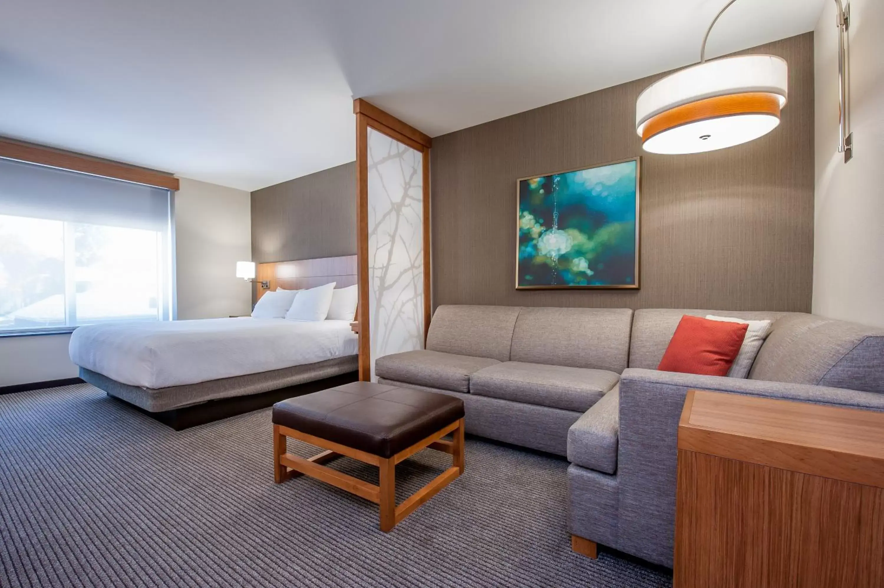 King Room with Sofa Bed in Hyatt Place Bowling Green King Room with Sofa Bed in Hyatt Place Bowling Green