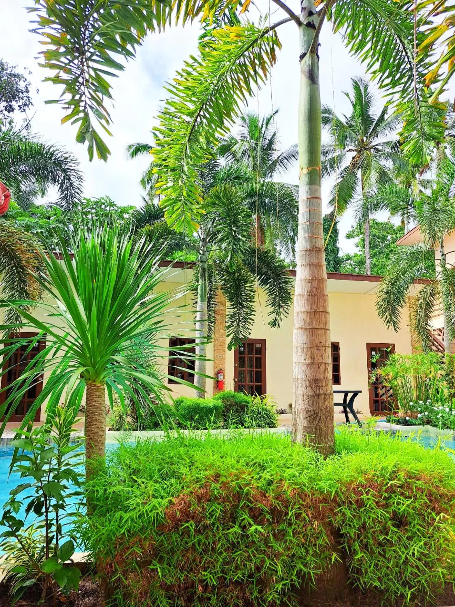 Garden view in Softstone resort