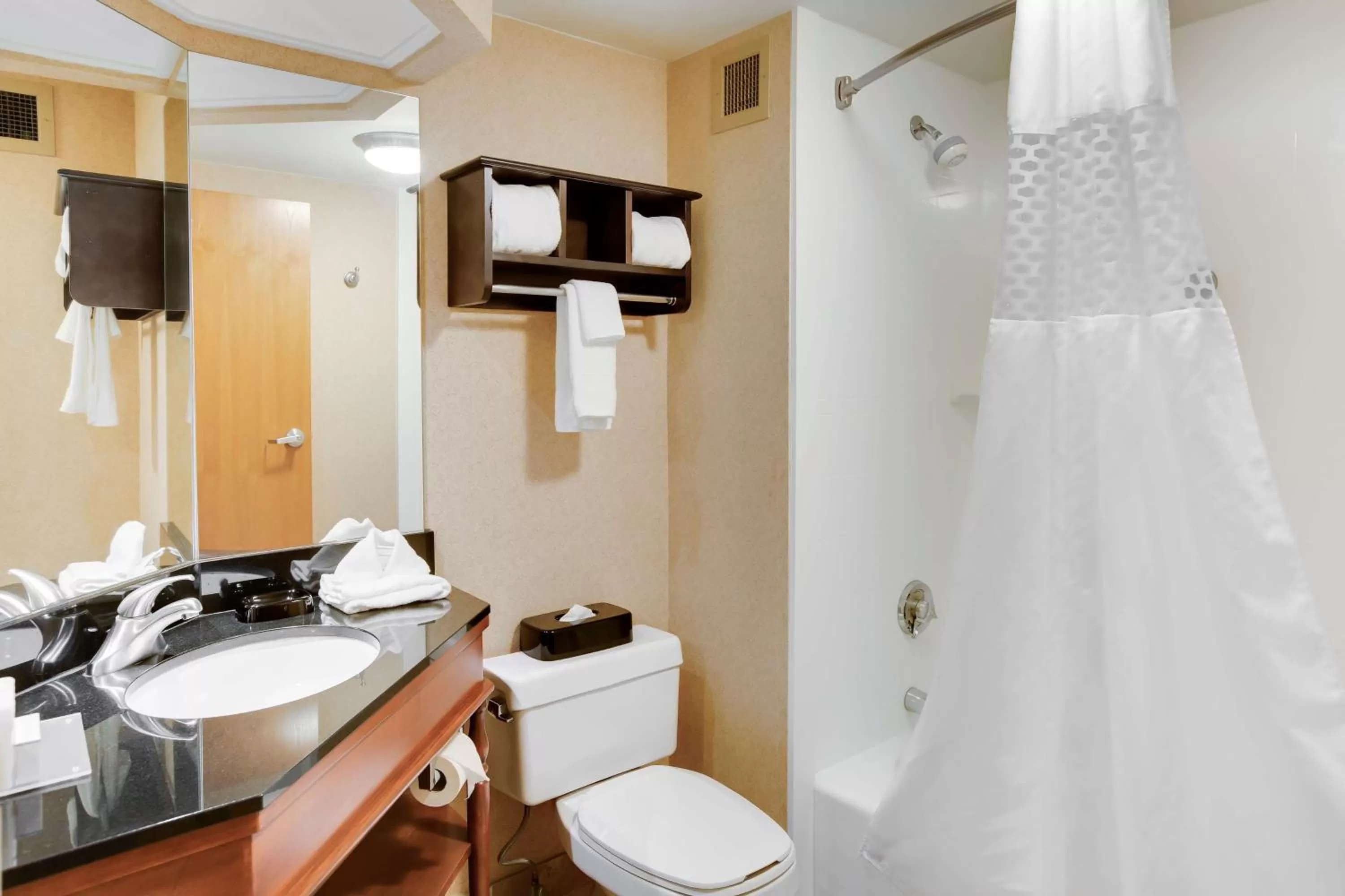 Bathroom in Hampton Inn Pittsburgh/Airport