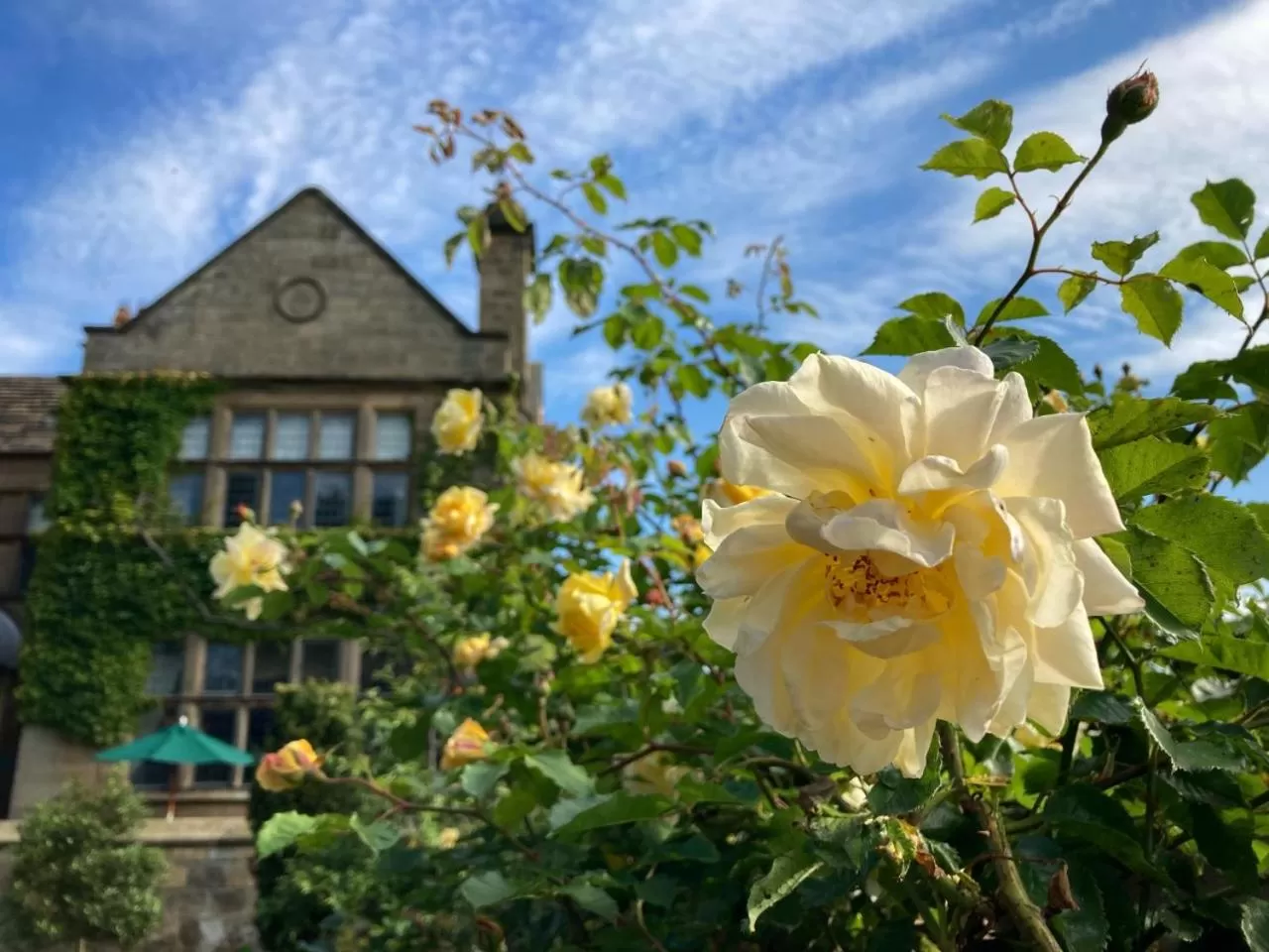 Spring in Fischers Baslow Hall - Chatsworth