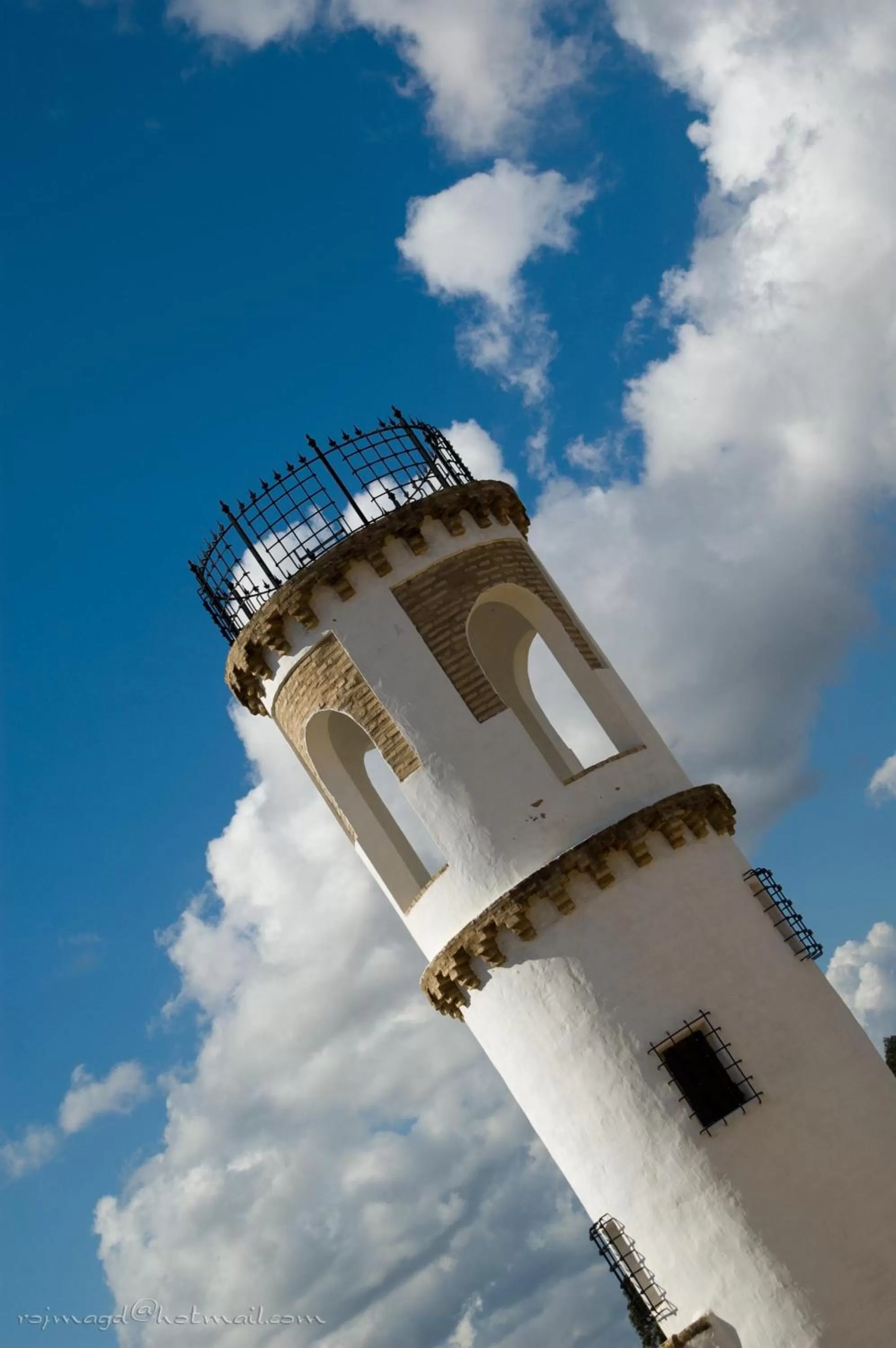 Bird's eye view in Ardea Purpurea