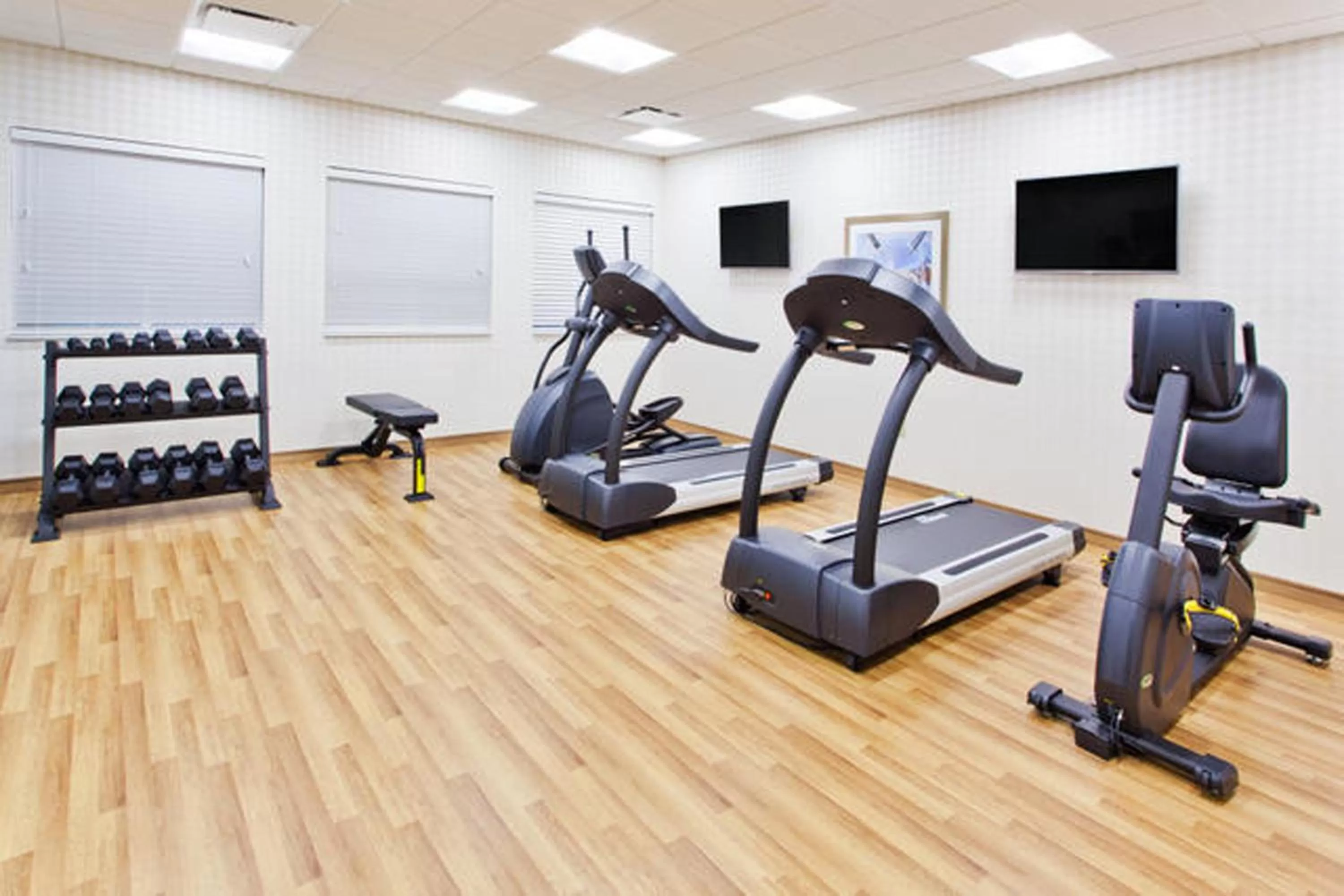 Fitness centre/facilities in Holiday Inn Express & Suites Warner Robins North West by IHG