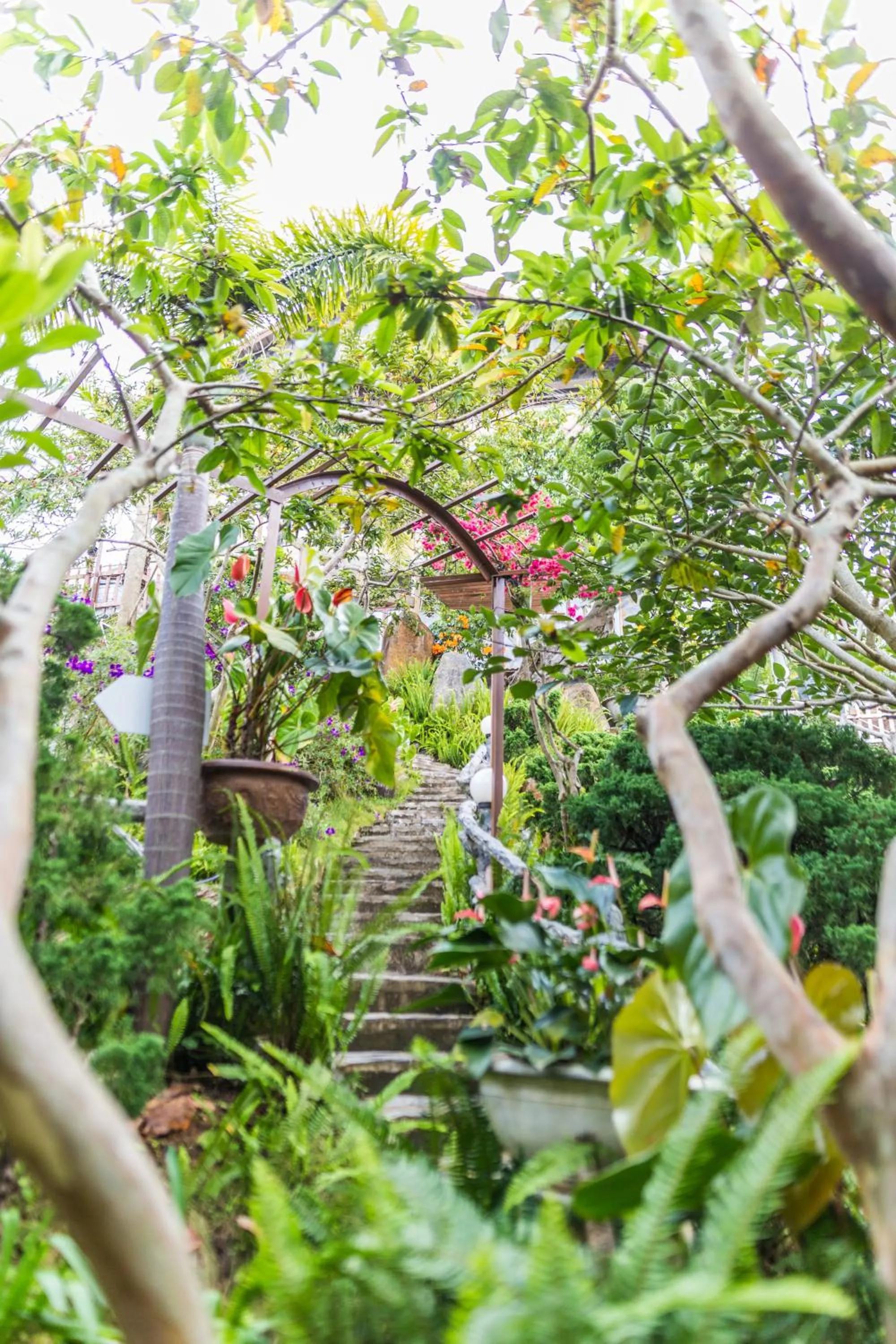Natural landscape in Zen Valley Dalat