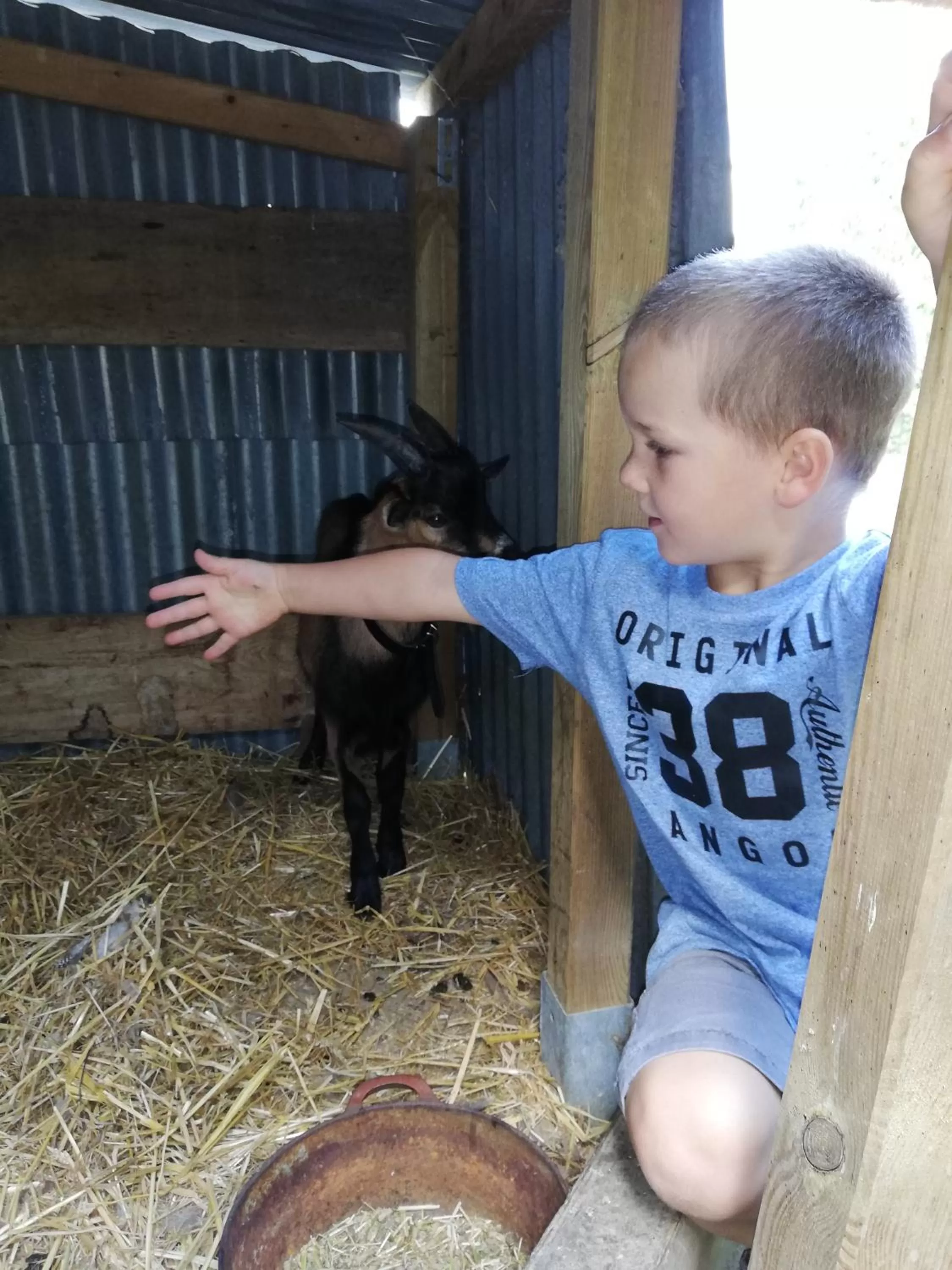 Pets, Children in La Parisière