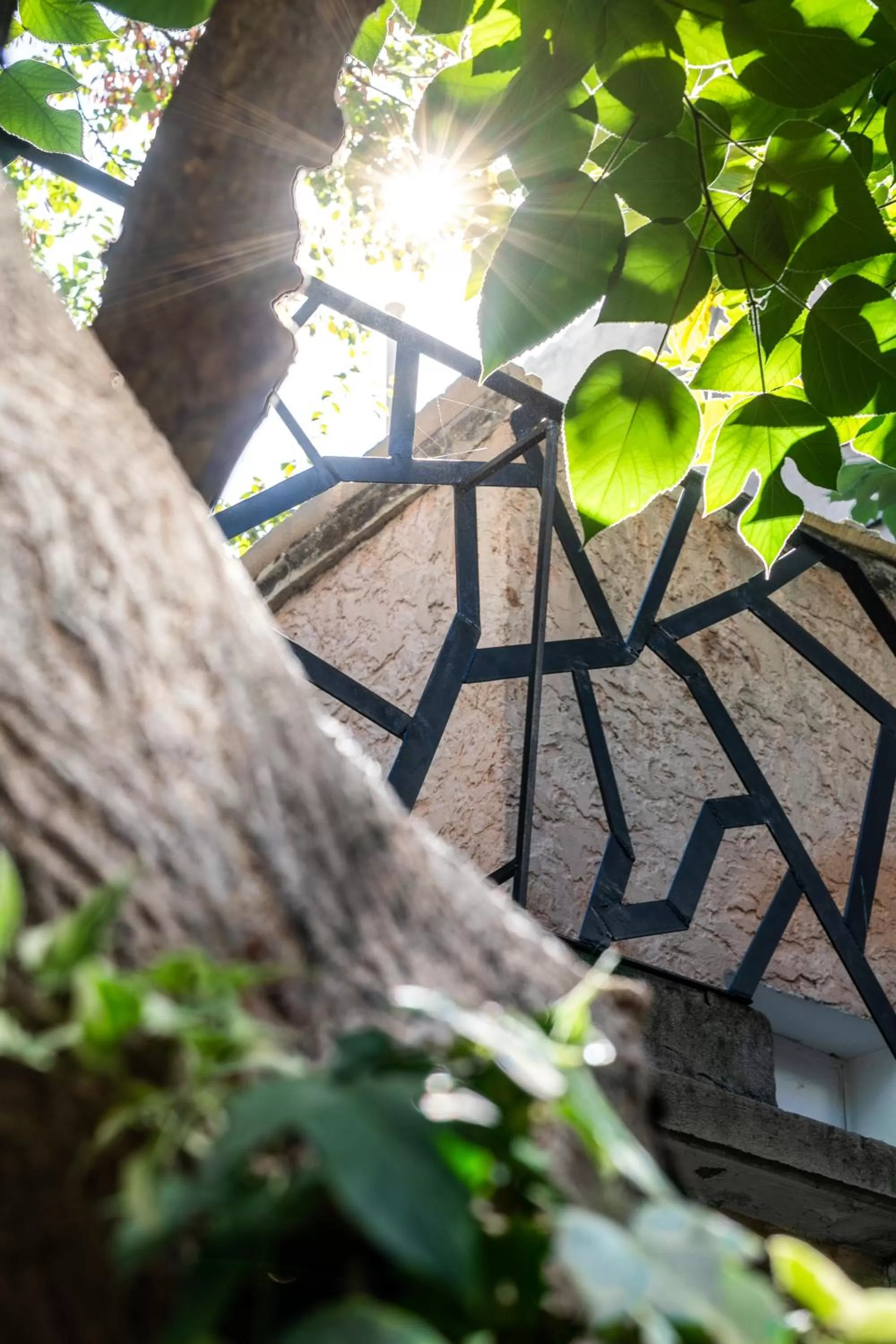 Garden in Boutique Hôtel Azur