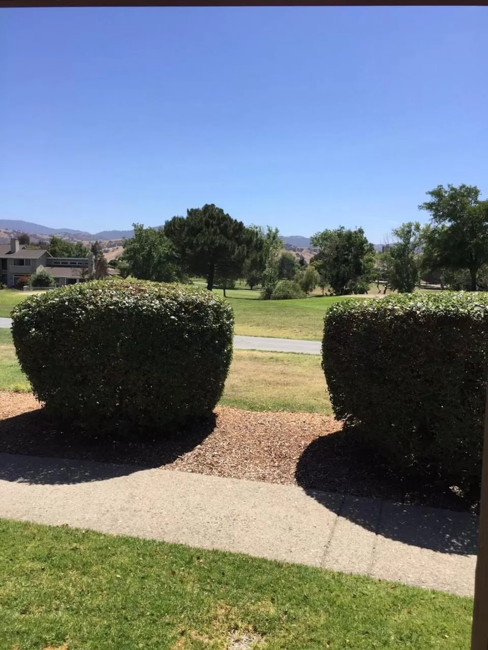 View (from property/room) in Ridgemark Golf Club and Resort