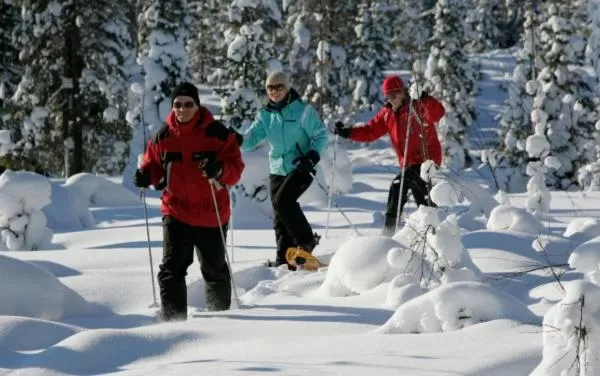 Karemajat Panorama hotel