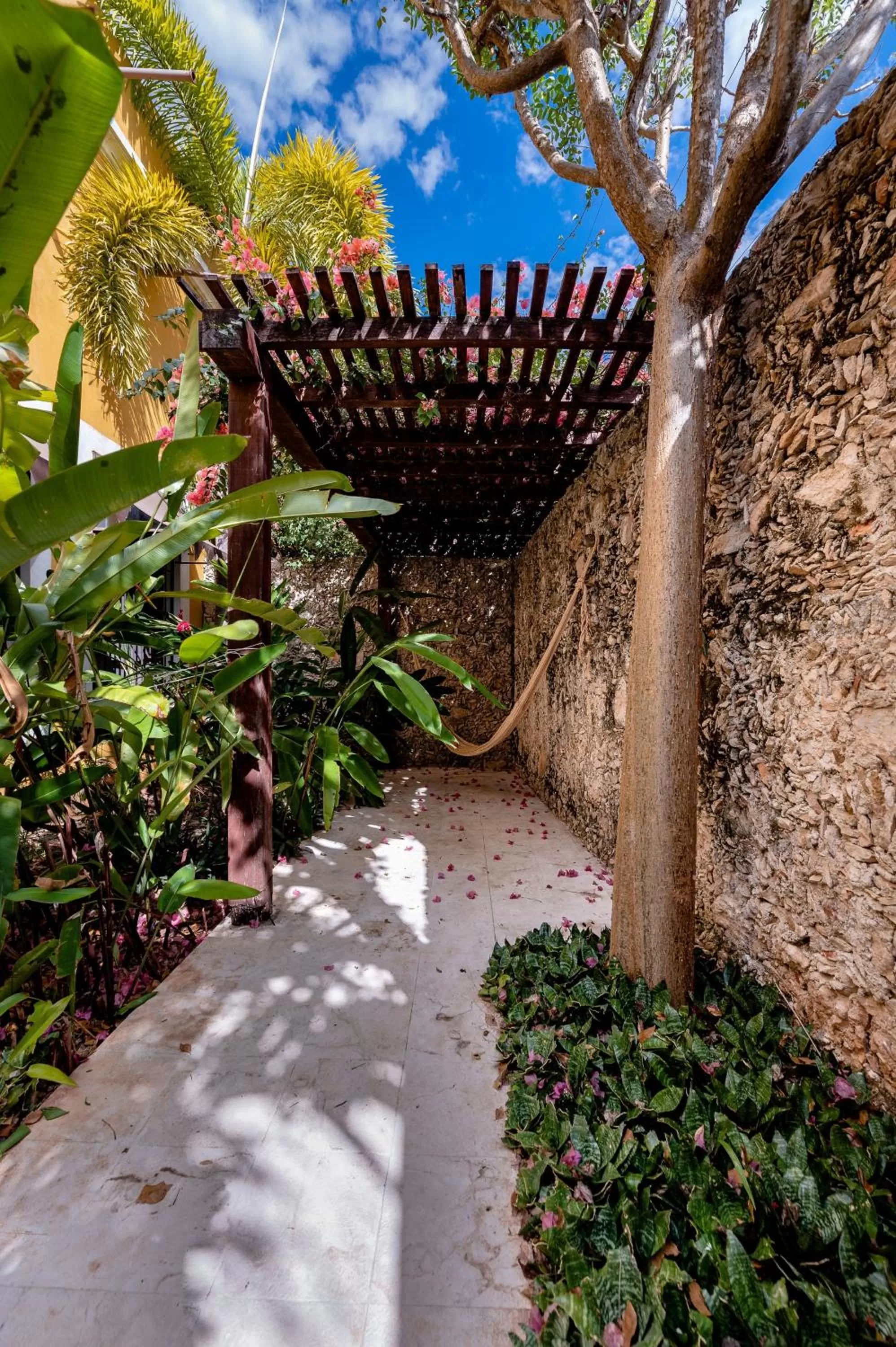 Off site in Hacienda San Antonio Millet