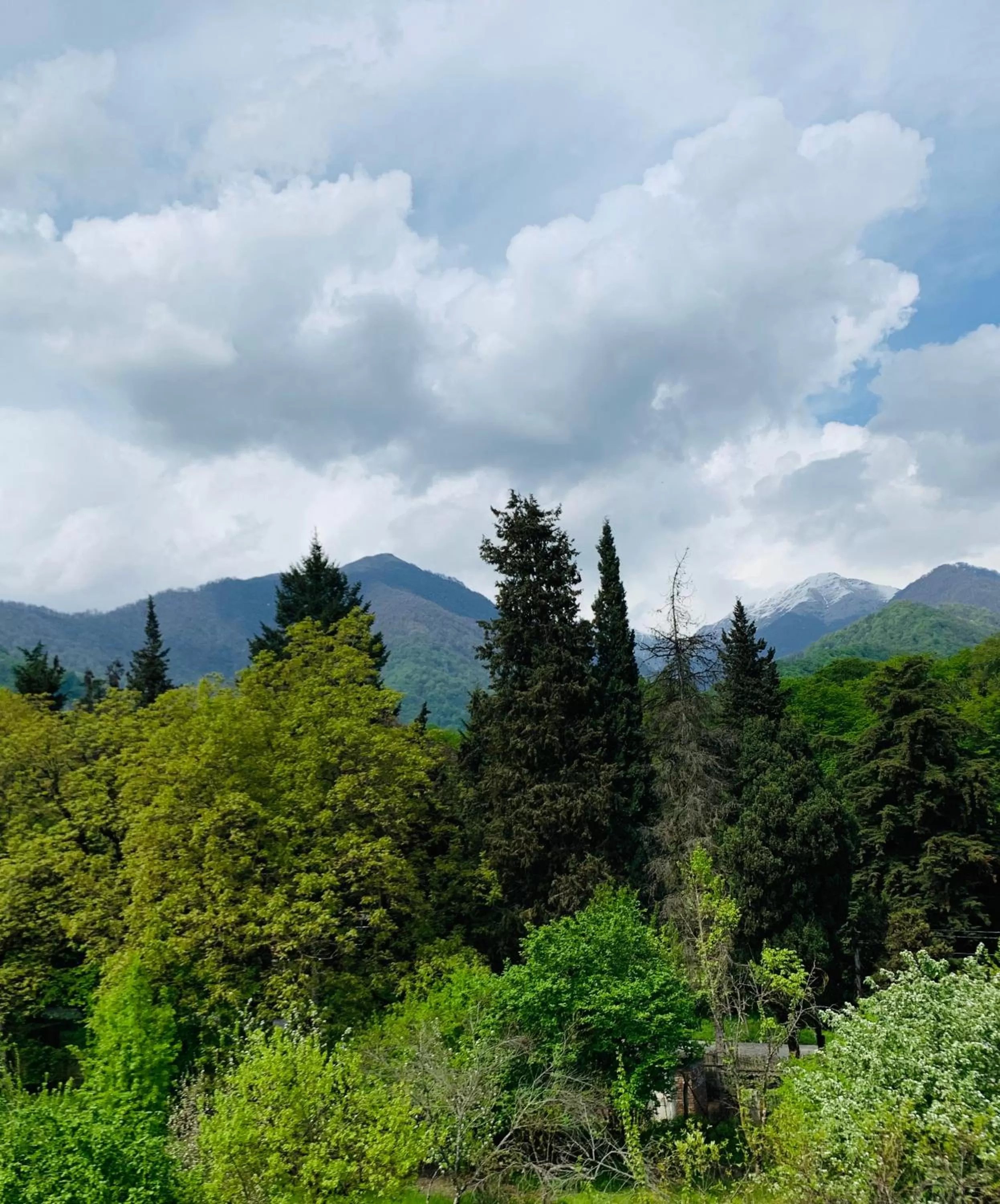 Natural landscape in Royal Palace Hotel, Lagodekhi