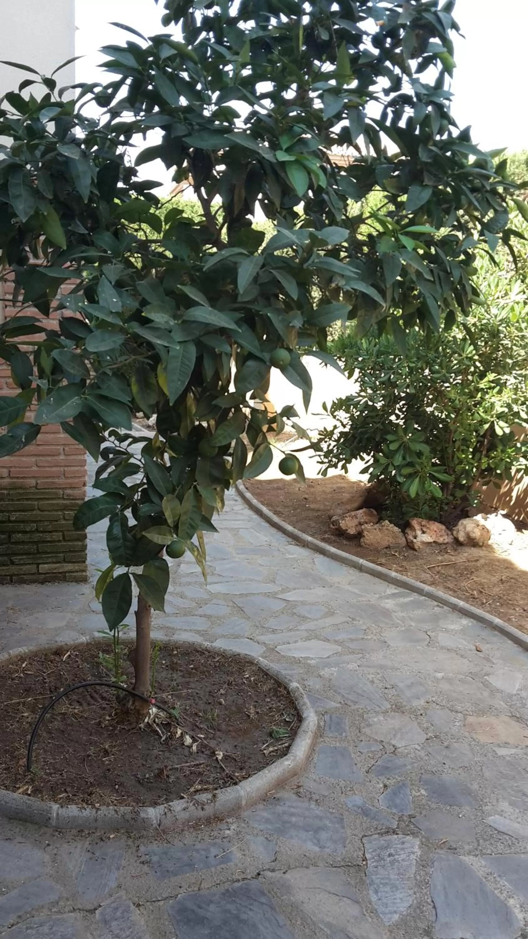 Property building in Chalet Trolio bed & breakfast