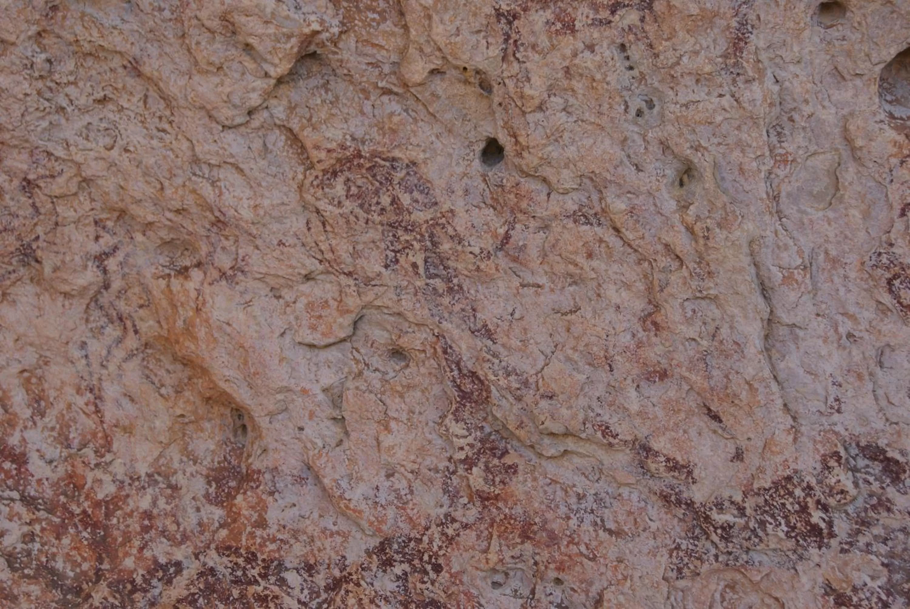 Activities in Finca El Romeral