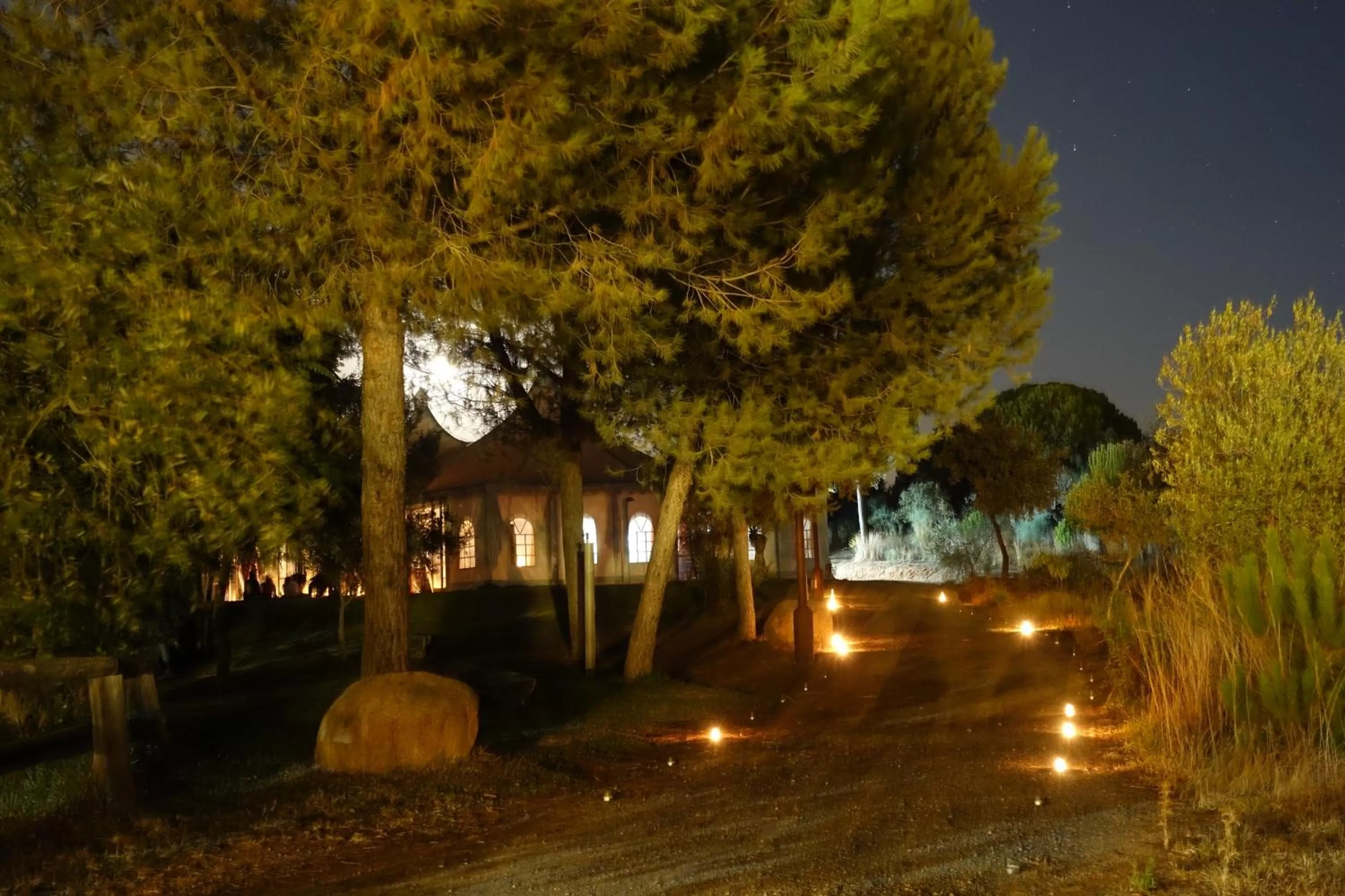 Off site in Ardea Purpurea