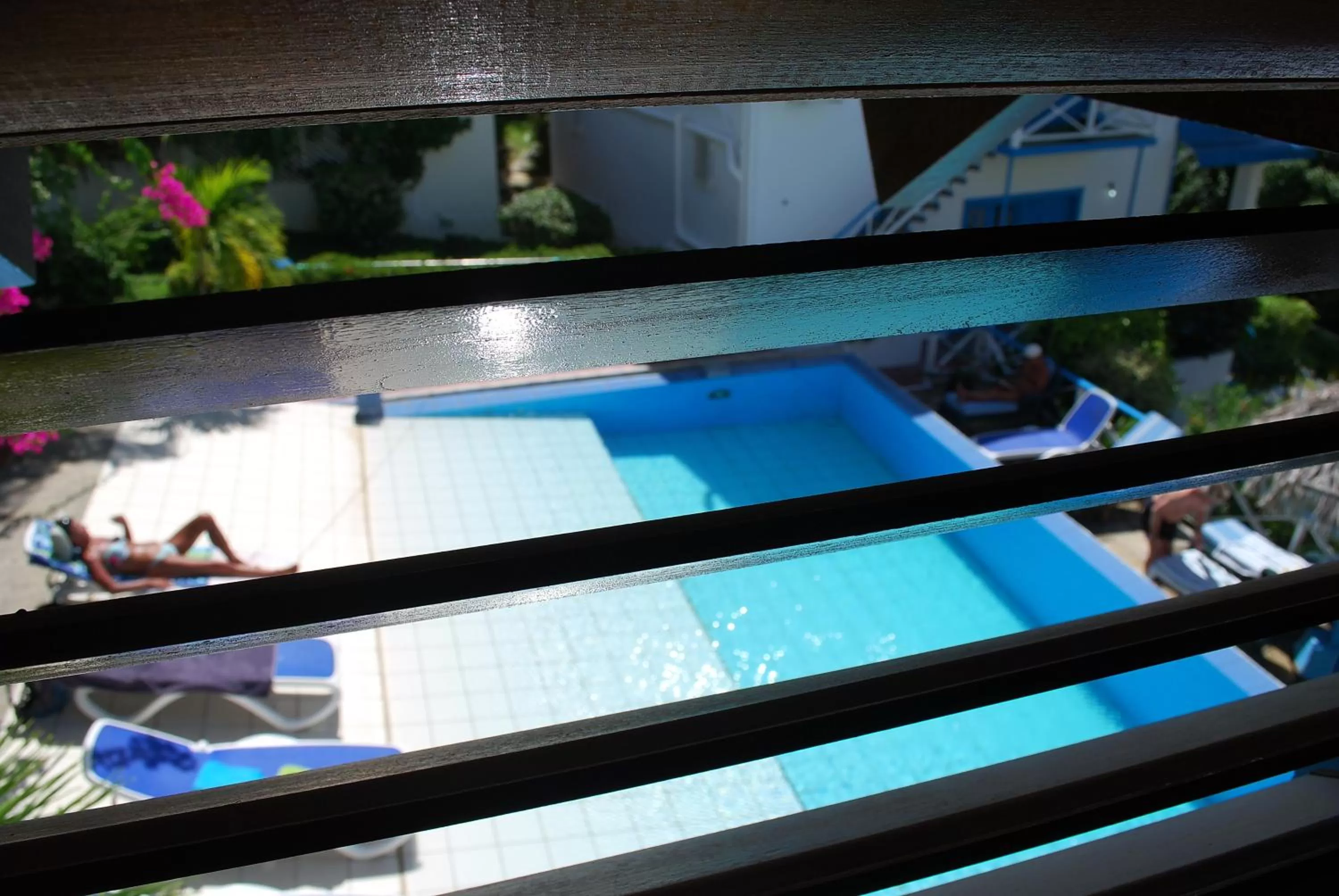 Day in Half Moon Blue Hotel