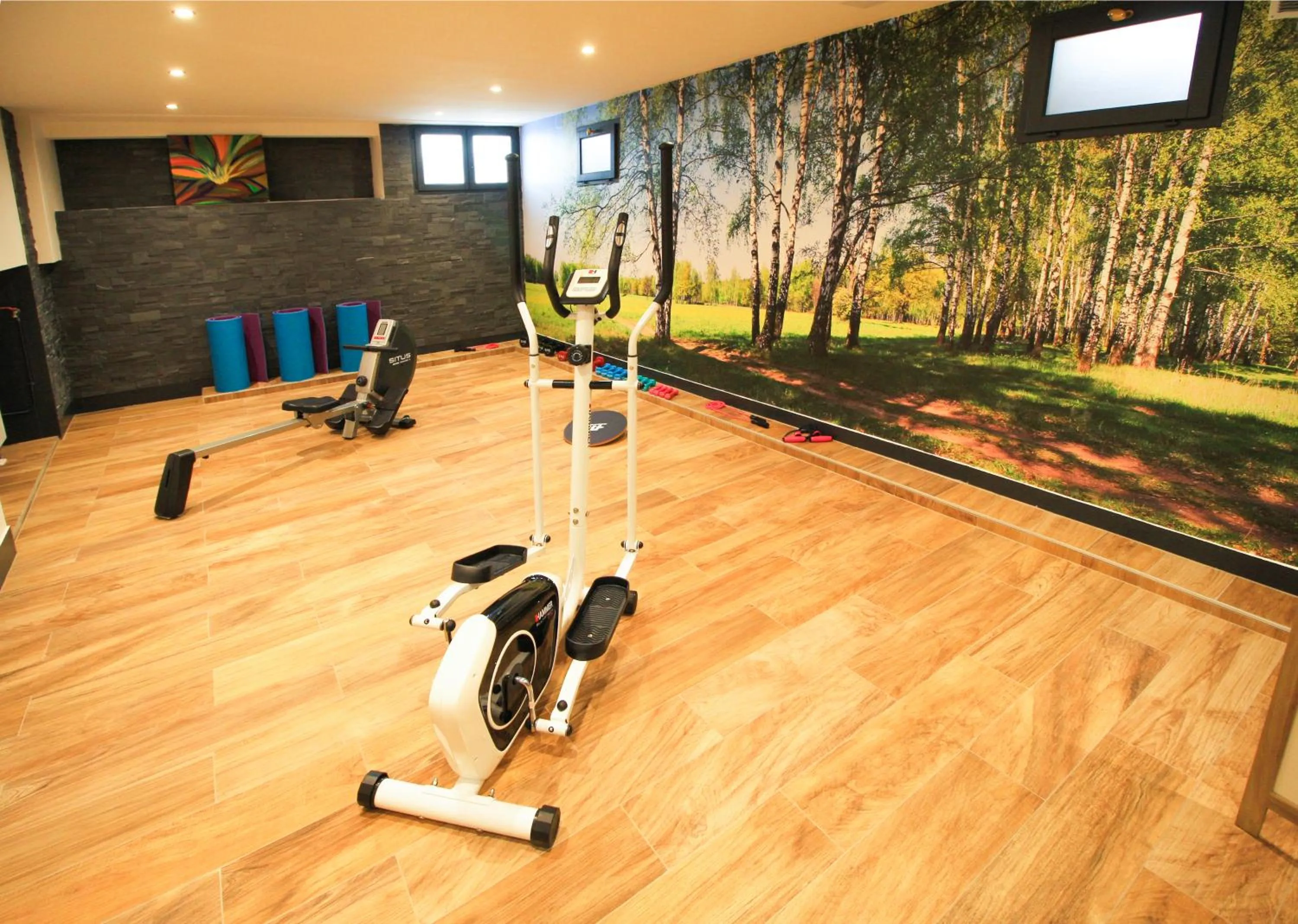 Fitness centre/facilities in Hotel Roses