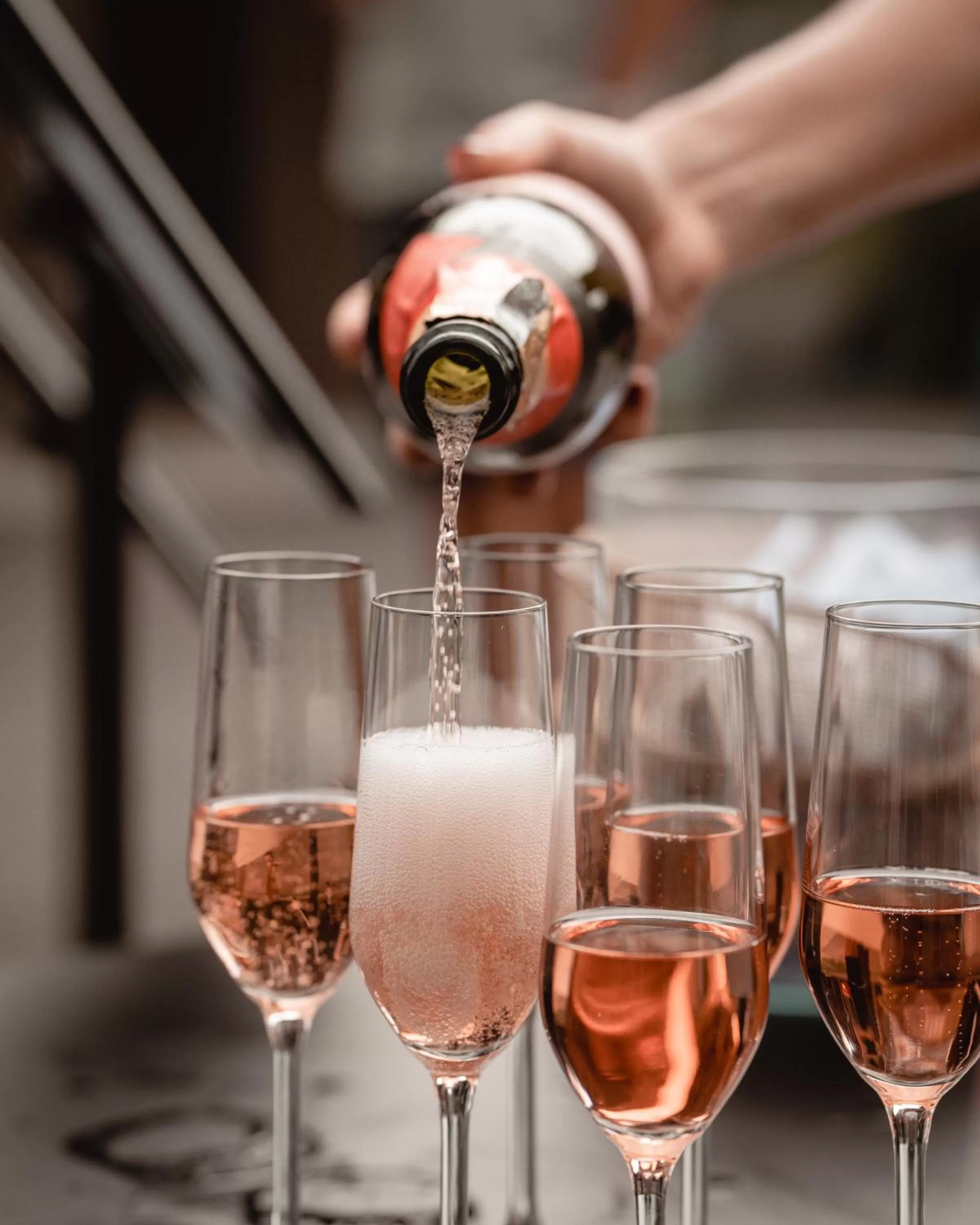 Evening entertainment in Hotel Bohinj