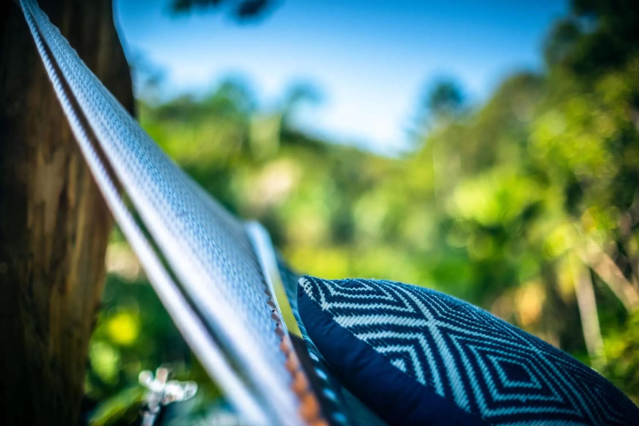 Spring in Sensom Luxury Boutique Bed and Breakfast