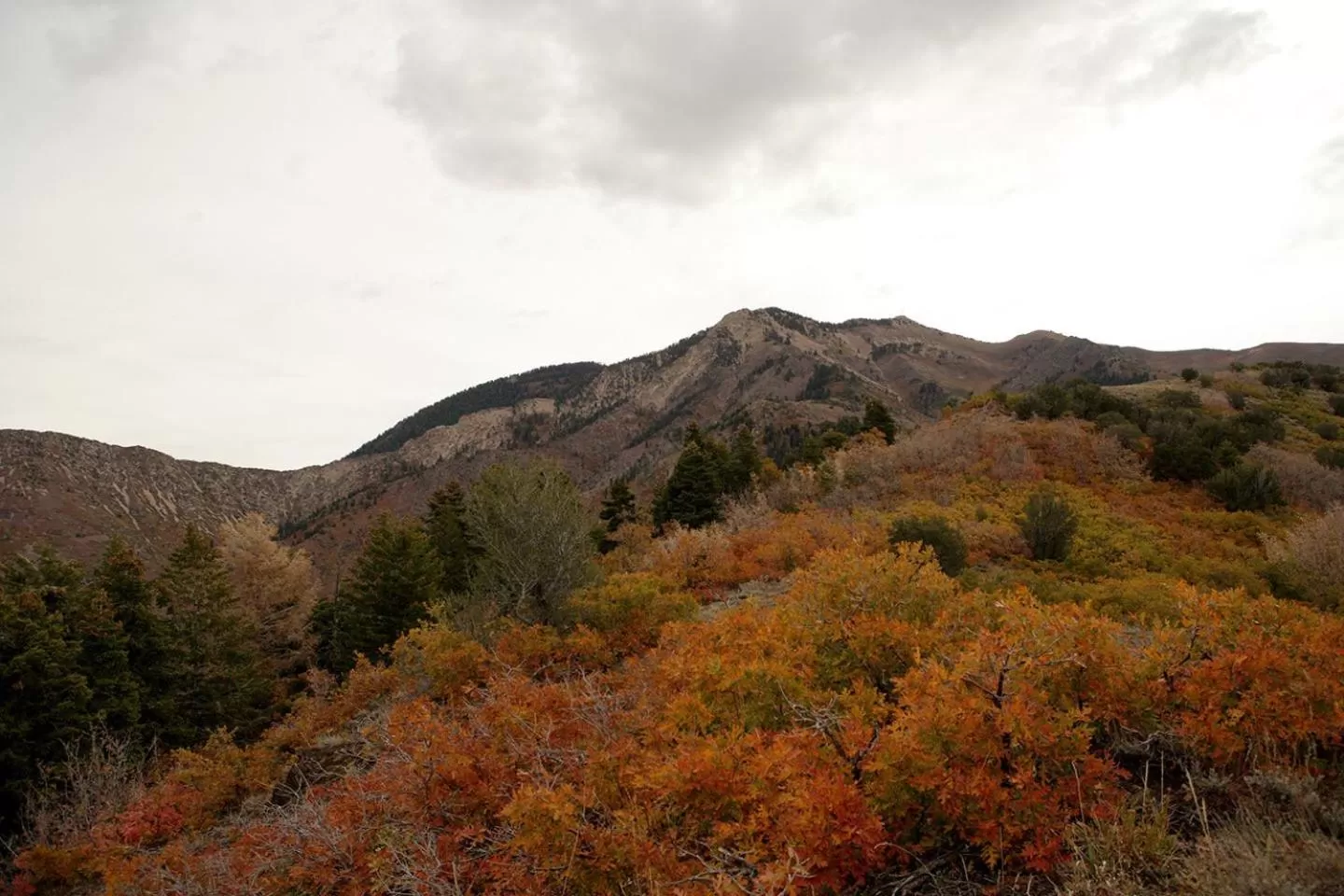 Area and facilities, Natural Landscape in Alaskan Inn and Spa