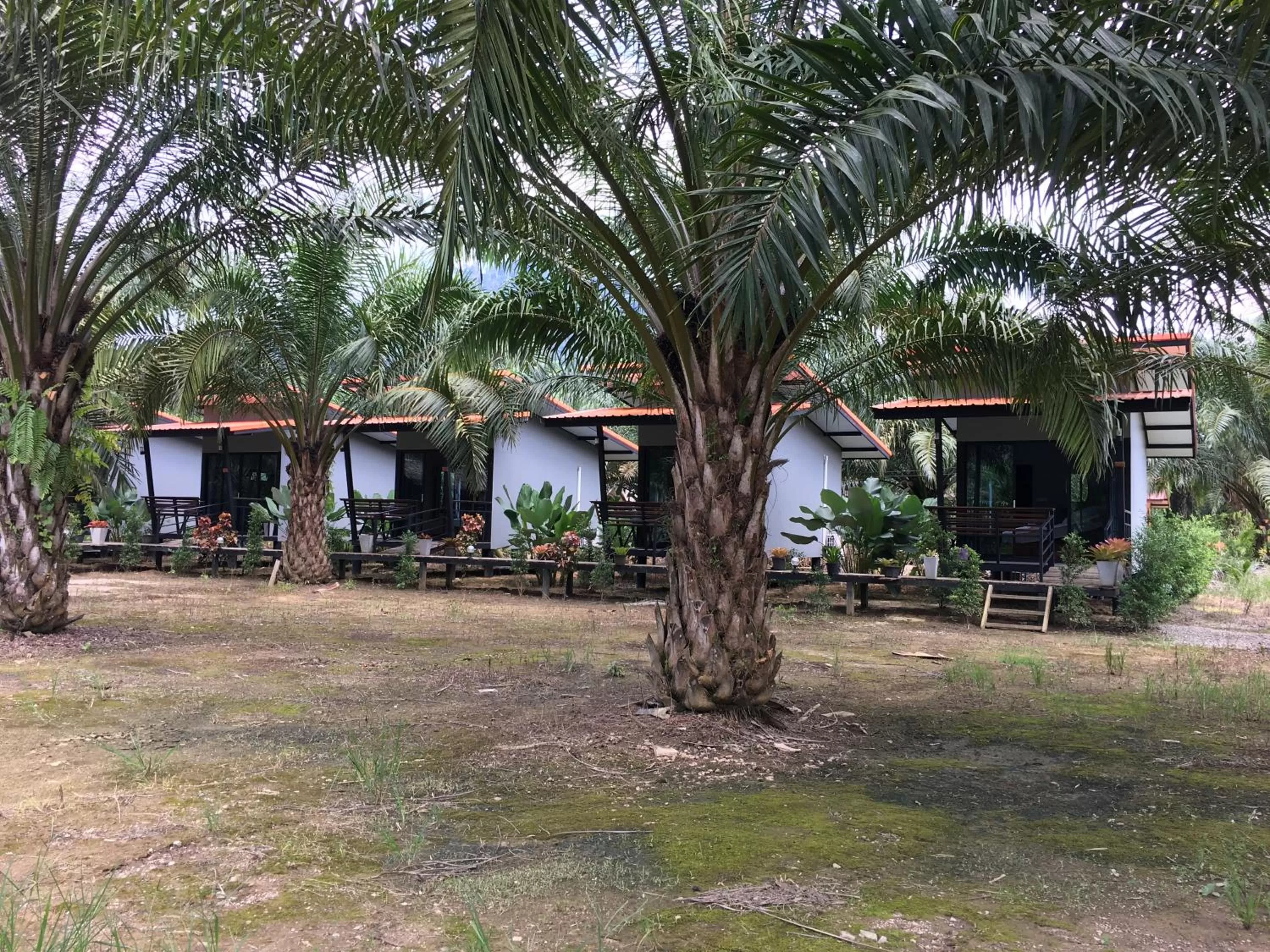 Natural landscape in Khao Sok Residence Resort
