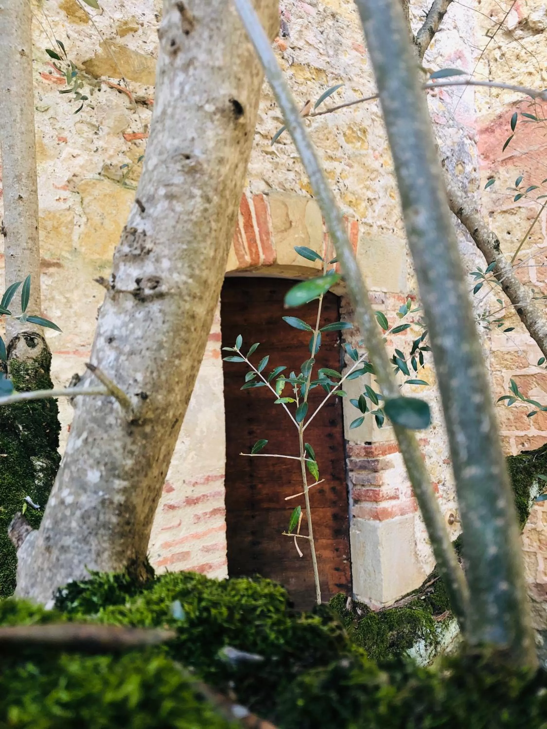 Garden view, Other Animals in Le Monastère de Saint Mont Hôtel & Spa