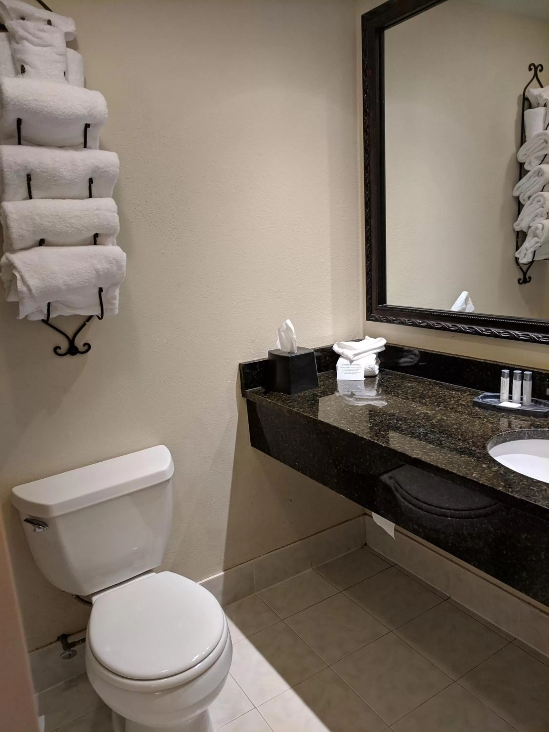 Toilet in The Century House, an Ascend Collection Hotel