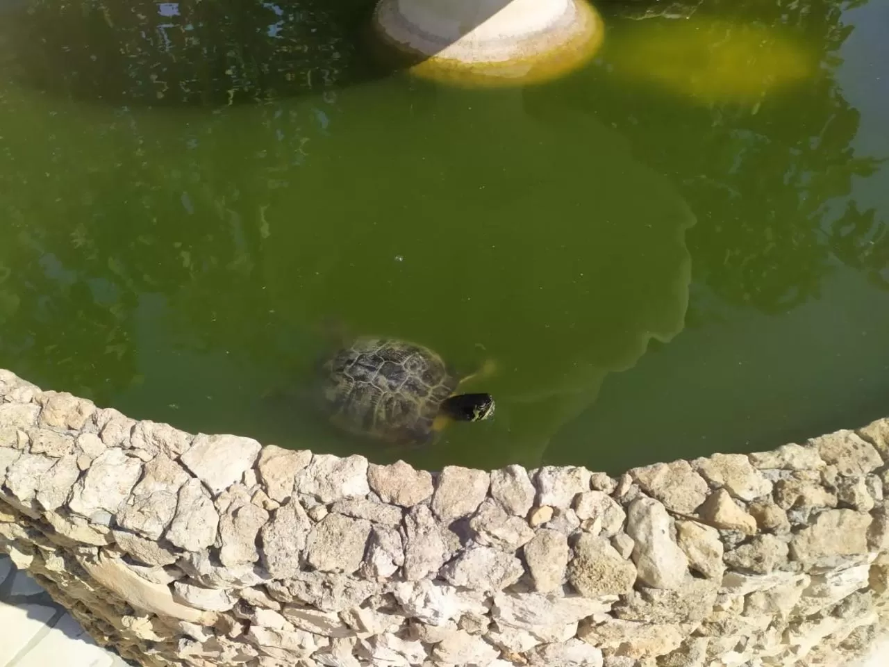 Property building in B&B La Seta Rossa