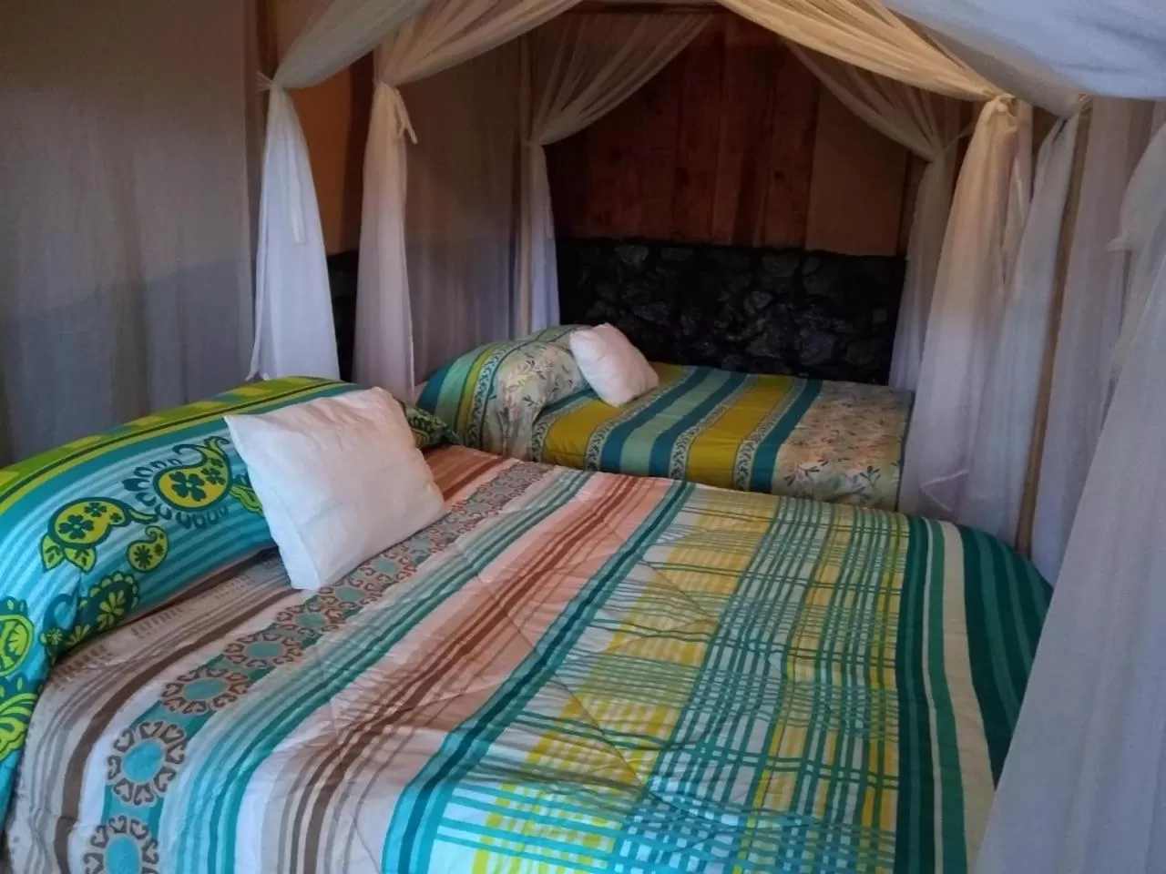 Twin Room with Terrace in Hotel Green Mountain turrialba