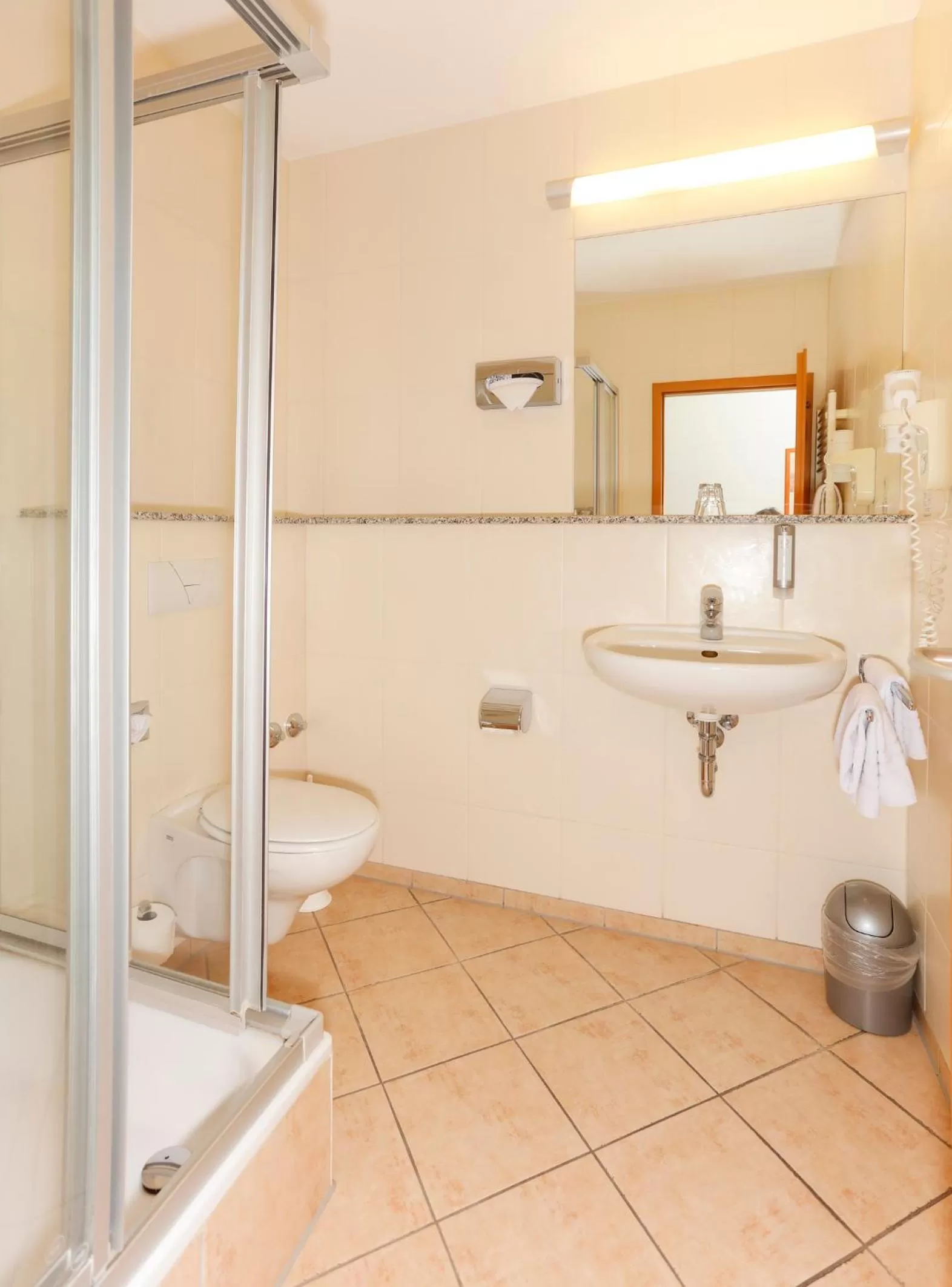 Shower in Hotel am Rhein