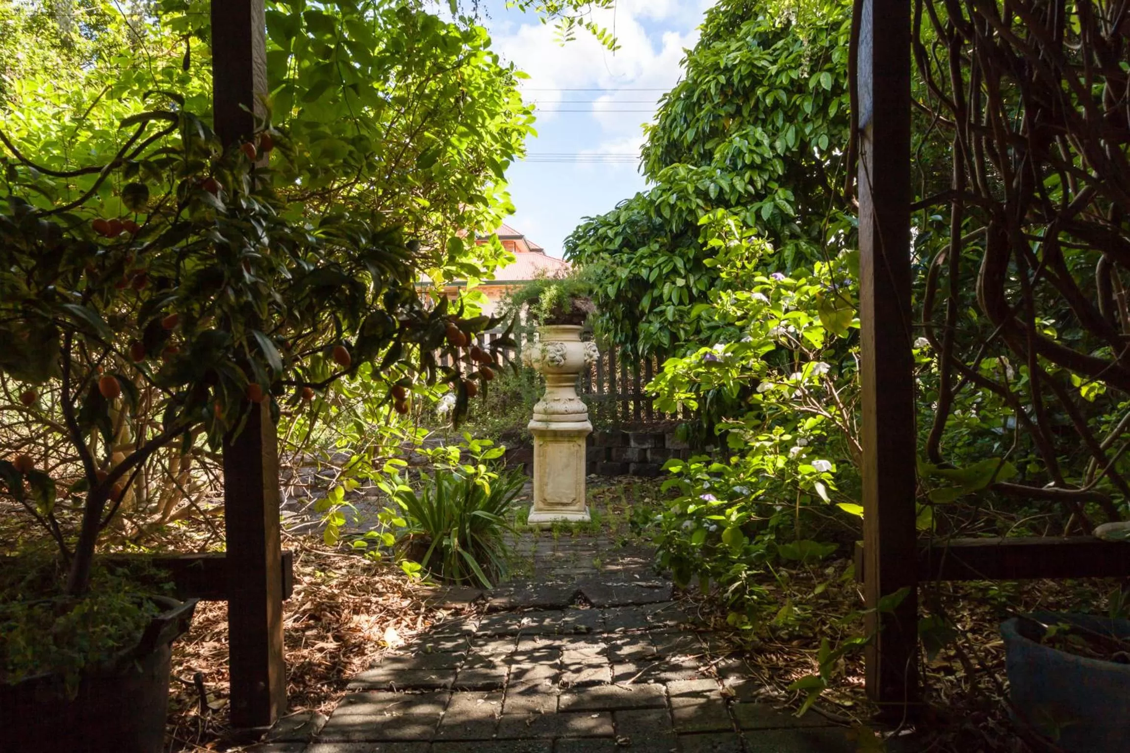 Garden in Aarn House B&B Airport Accommodation