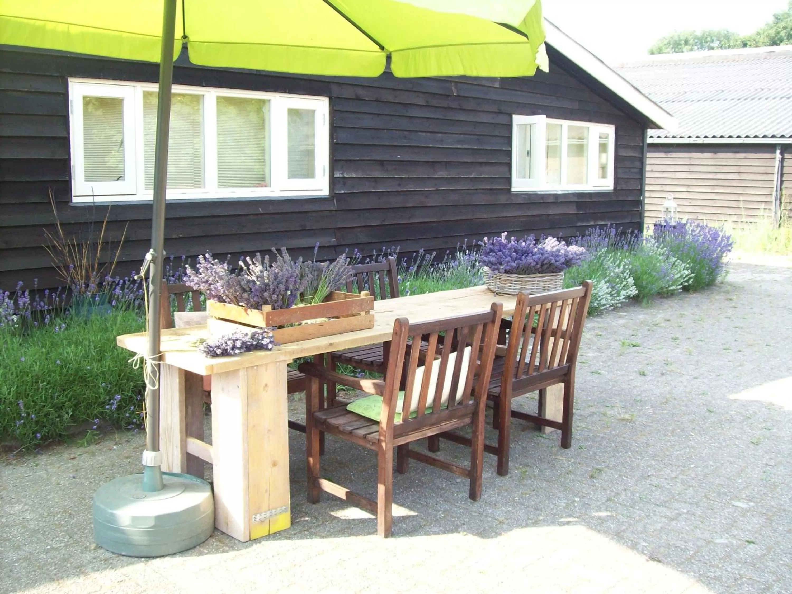 Facade/entrance in De Sternhof