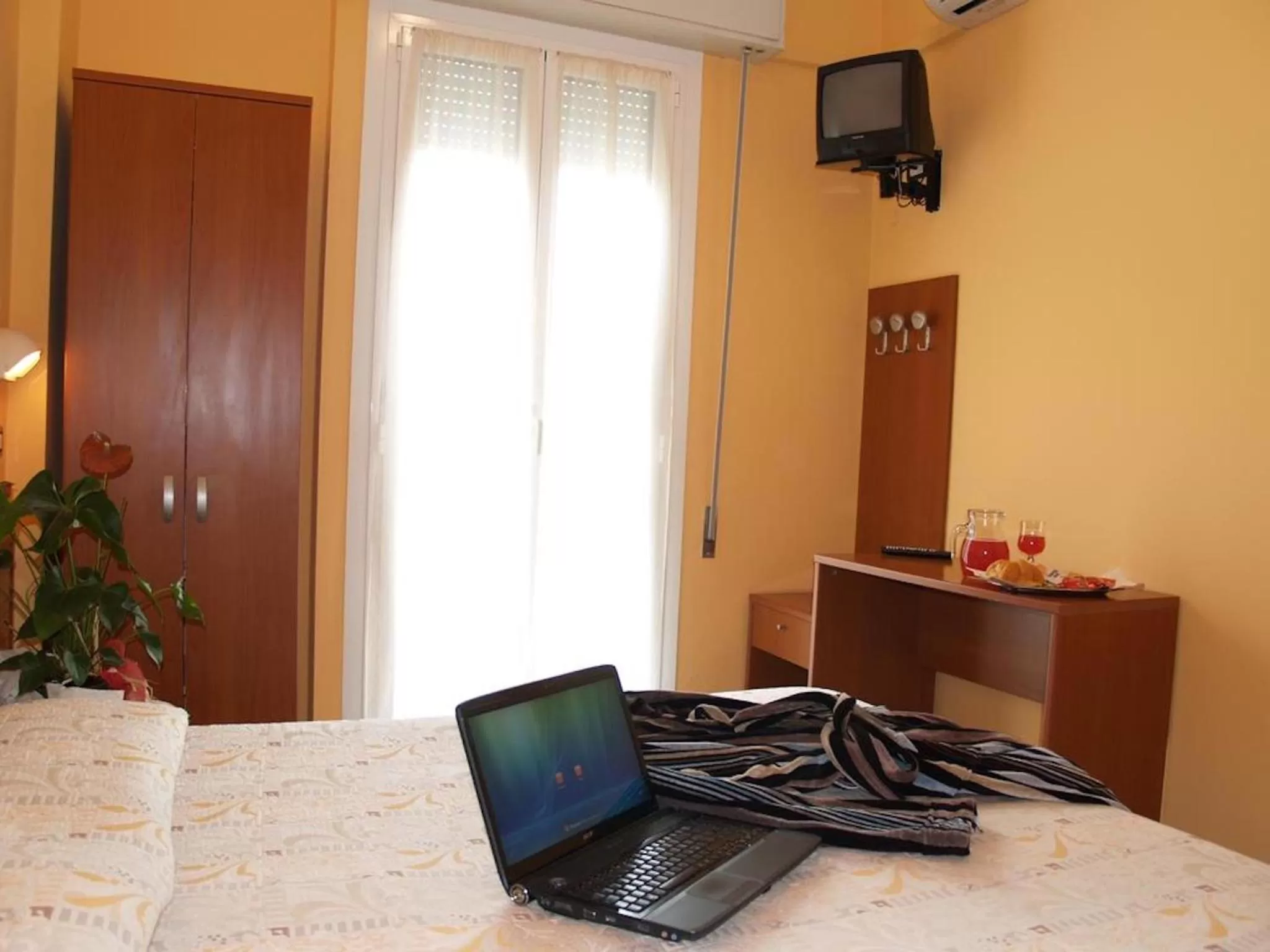 Double or Twin Room in Hotel Austria